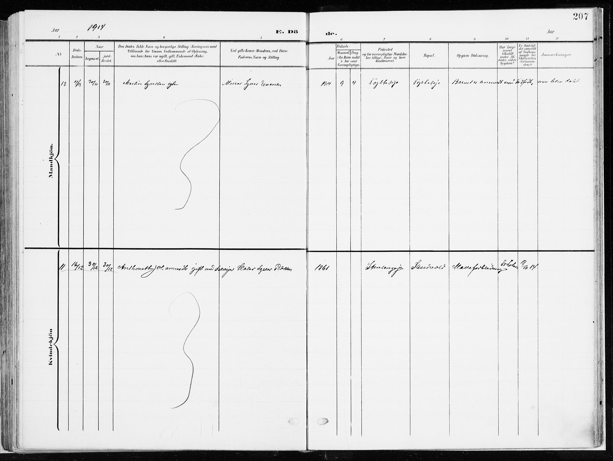 Ringsaker prestekontor, SAH/PREST-014/K/Ka/L0019: Parish register (official) no. 19, 1905-1920, p. 207