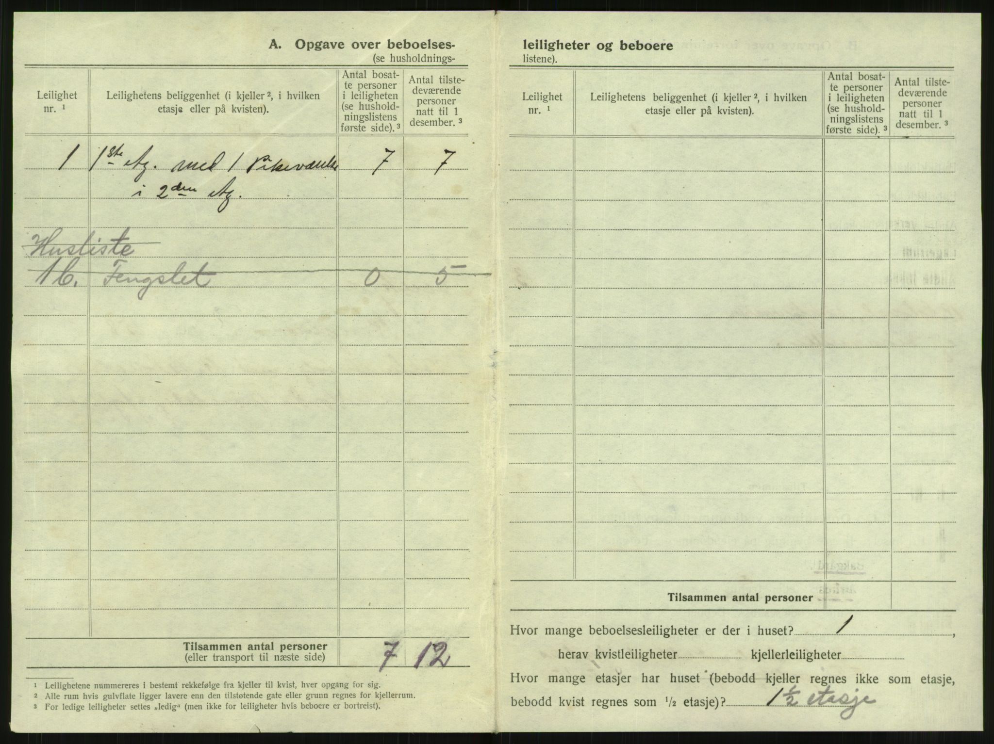 SAT, 1920 census for Steinkjer, 1920, p. 255