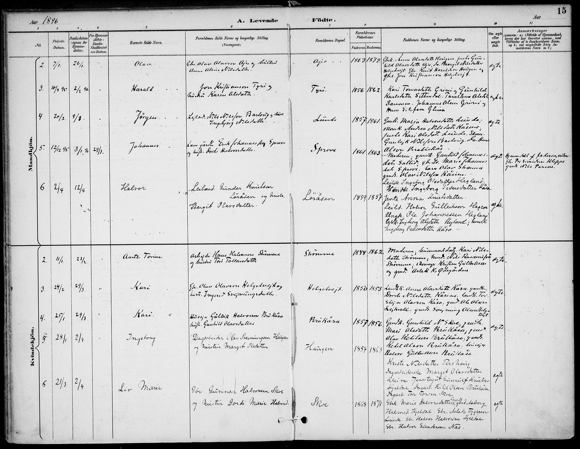 Lunde kirkebøker, SAKO/A-282/F/Fa/L0003: Parish register (official) no. I 3, 1893-1902, p. 15