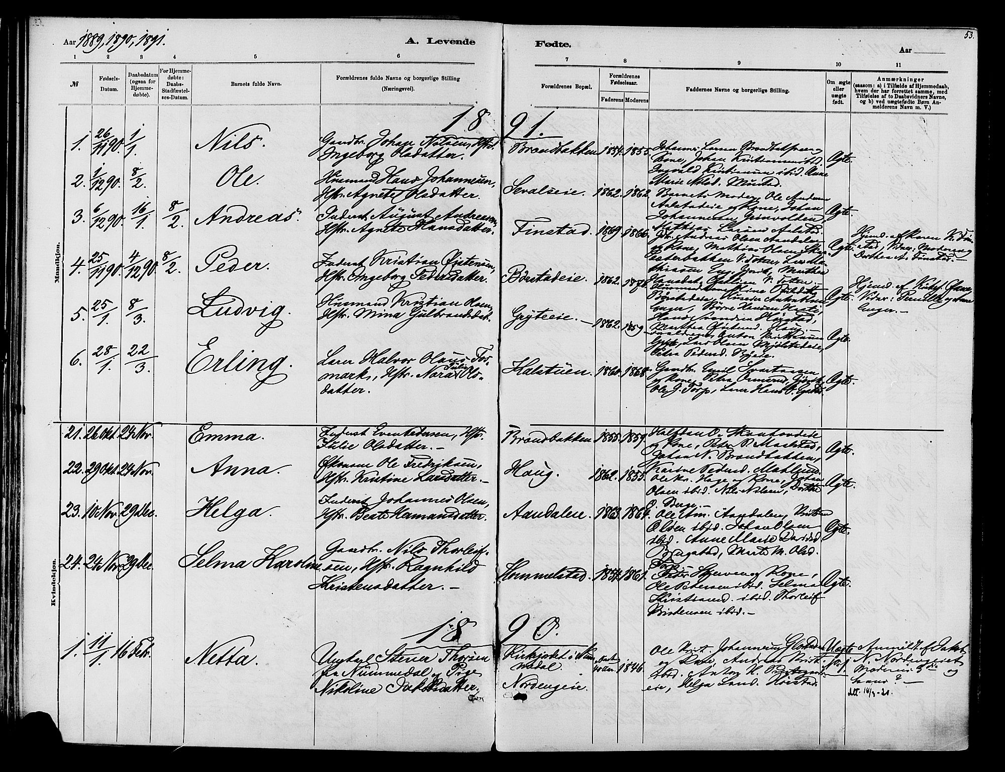 Vardal prestekontor, SAH/PREST-100/H/Ha/Haa/L0010: Parish register (official) no. 10, 1878-1893, p. 53