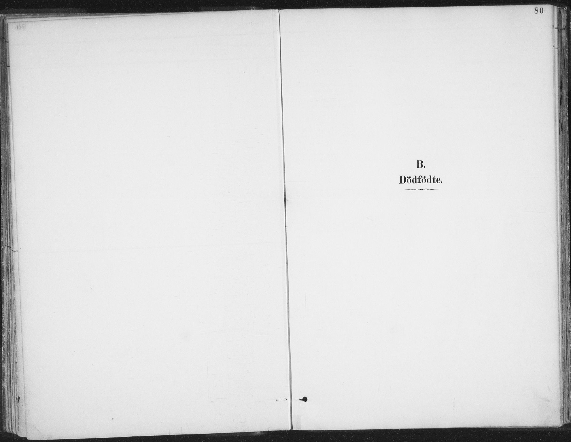 Balsfjord sokneprestembete, AV/SATØ-S-1303/G/Gaa/L0007kirke: Parish register (official) no. 7, 1887-1909, p. 80
