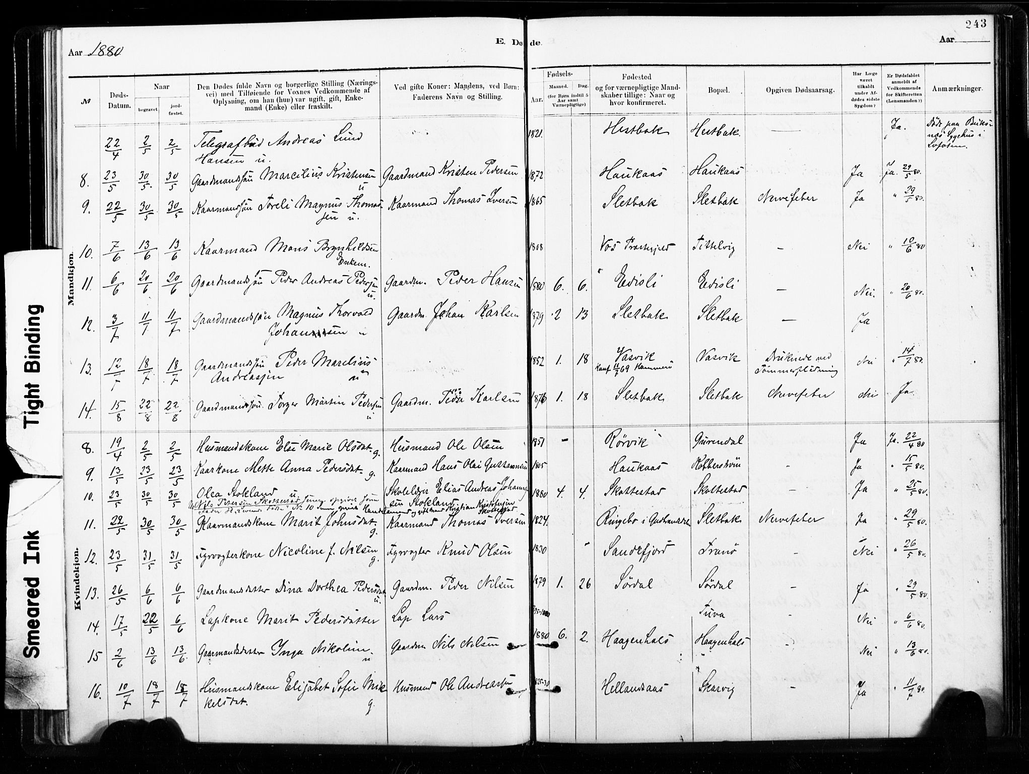 Ministerialprotokoller, klokkerbøker og fødselsregistre - Nordland, AV/SAT-A-1459/859/L0846: Parish register (official) no. 859A06, 1878-1889, p. 243