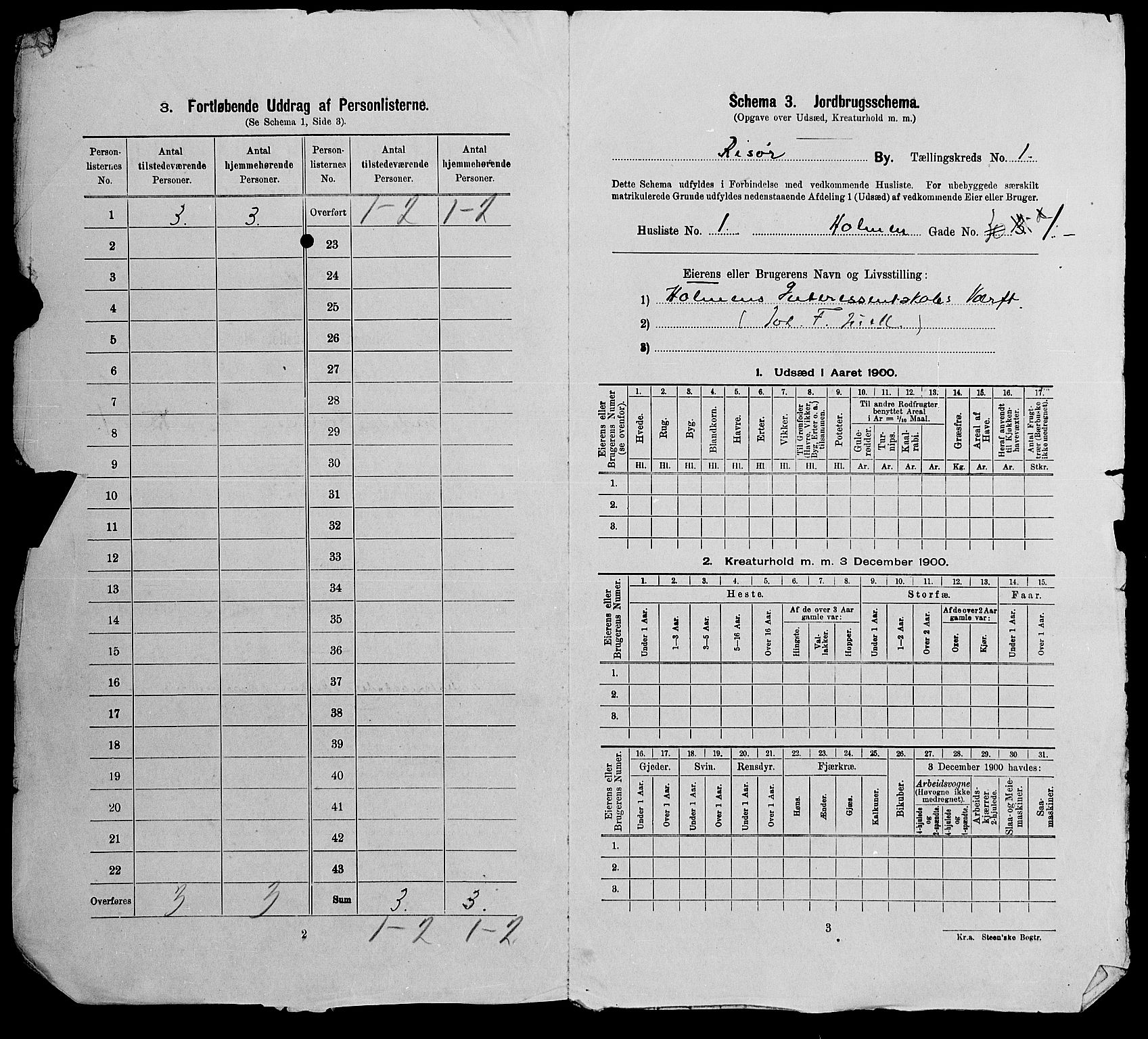 SAK, 1900 census for Risør, 1900, p. 24