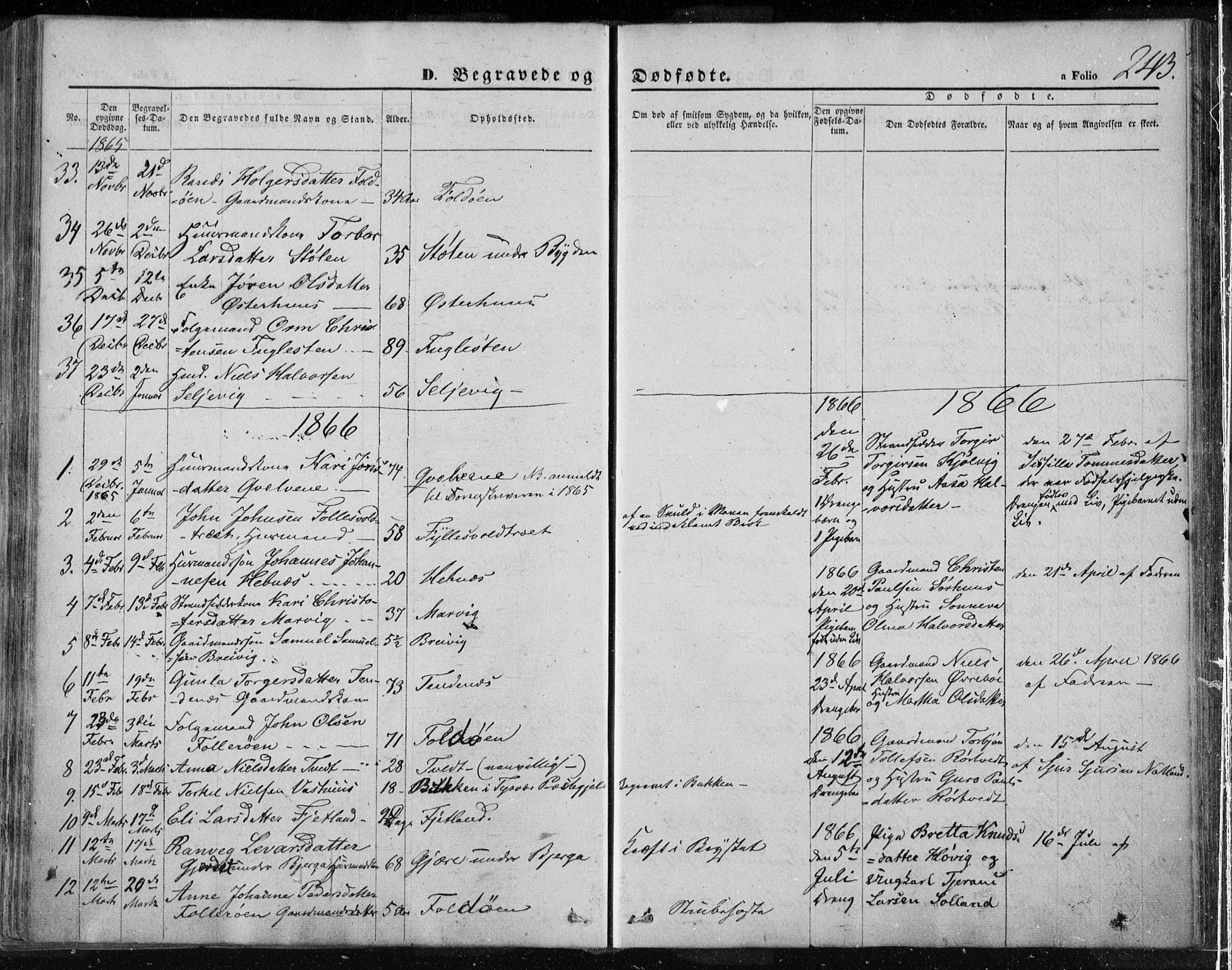 Jelsa sokneprestkontor, SAST/A-101842/01/IV: Parish register (official) no. A 7, 1854-1866, p. 243