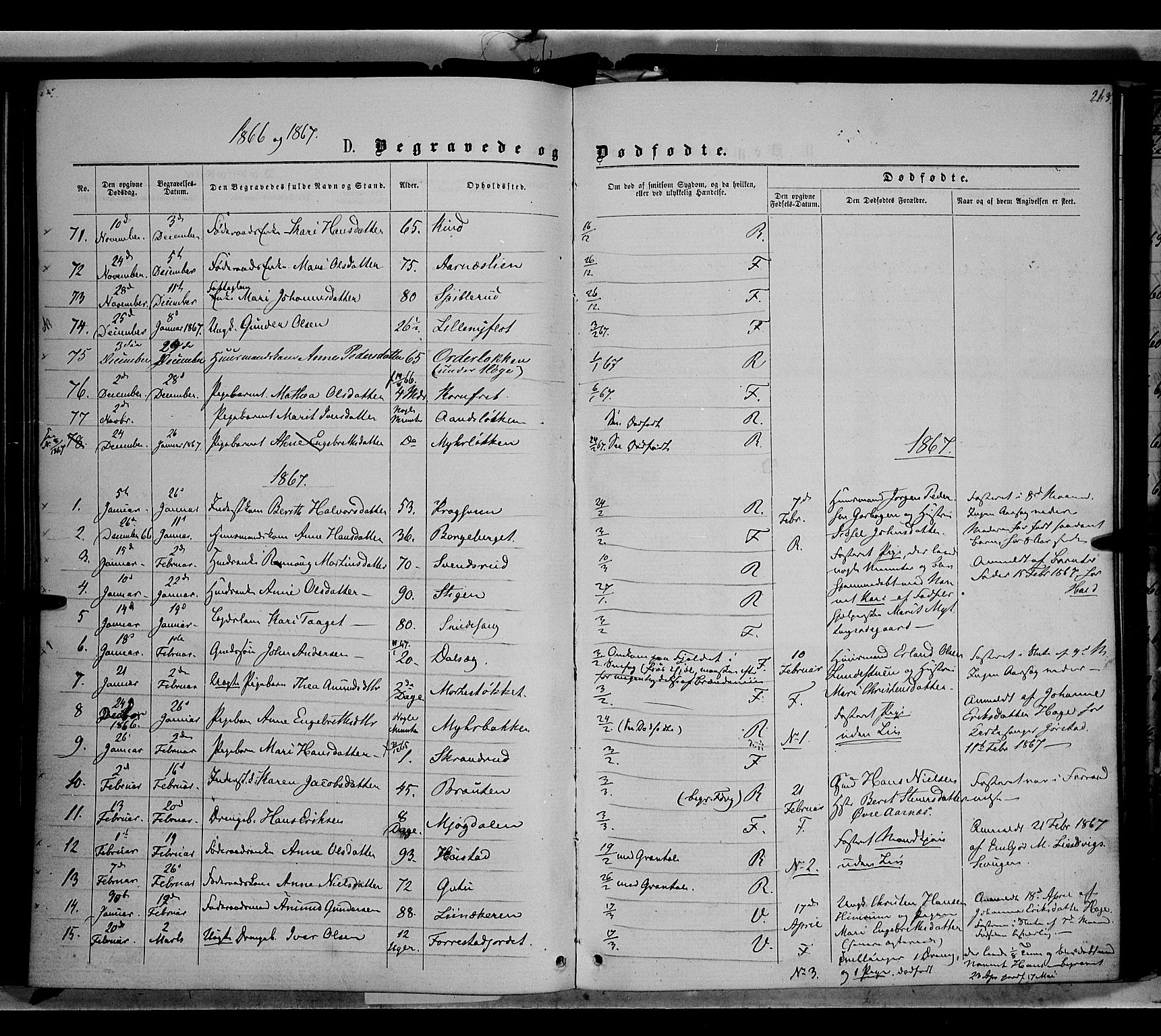 Ringebu prestekontor, SAH/PREST-082/H/Ha/Haa/L0007: Parish register (official) no. 7, 1860-1877, p. 263