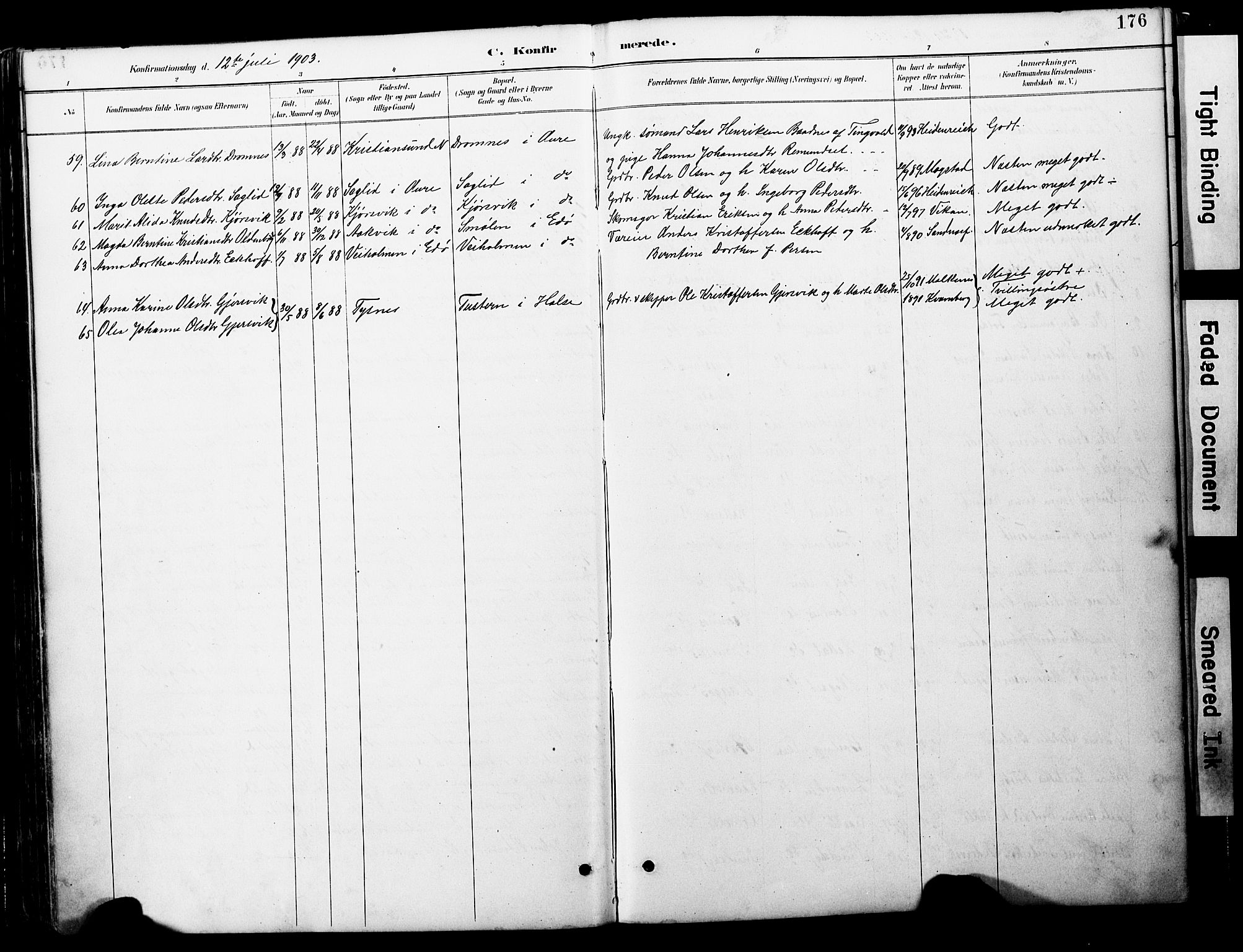 Ministerialprotokoller, klokkerbøker og fødselsregistre - Møre og Romsdal, AV/SAT-A-1454/578/L0907: Parish register (official) no. 578A06, 1887-1904, p. 176