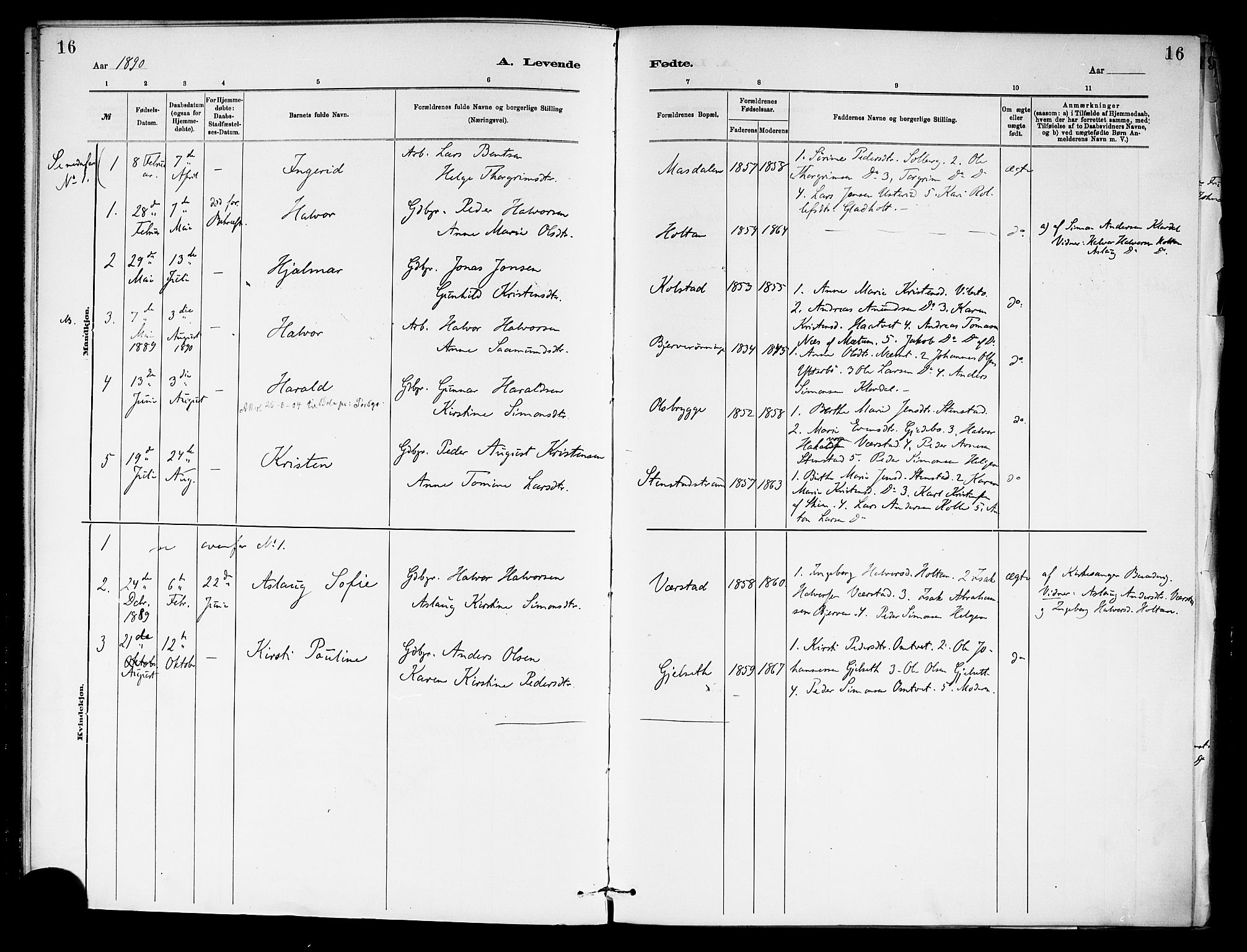 Holla kirkebøker, SAKO/A-272/F/Fa/L0009: Parish register (official) no. 9, 1881-1897, p. 16