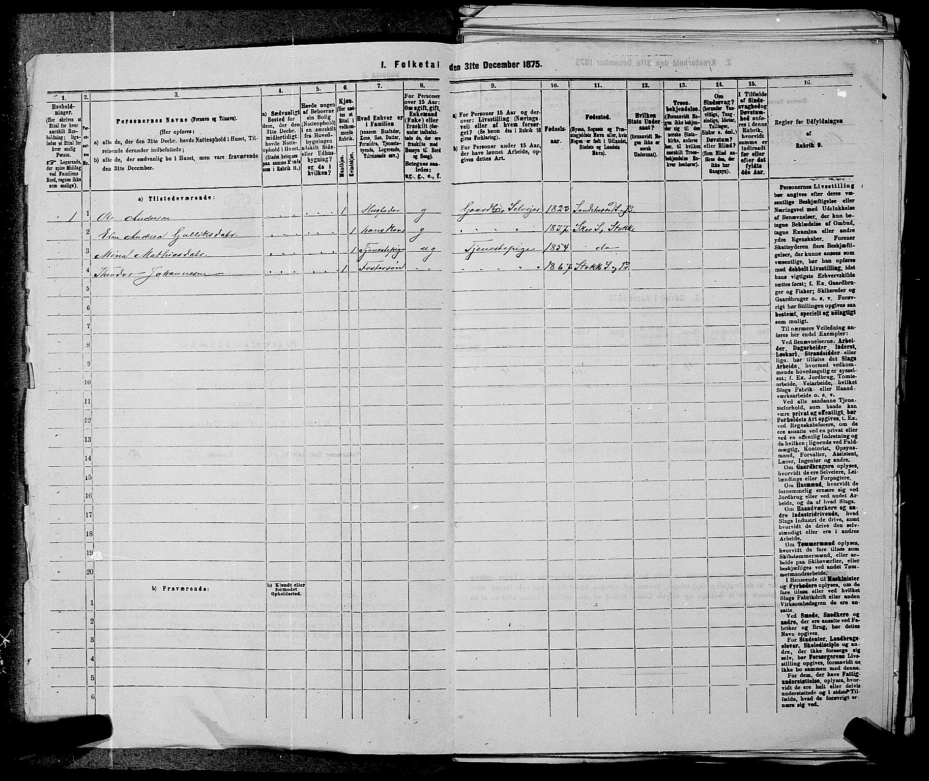 SAKO, 1875 census for 0720P Stokke, 1875, p. 1743