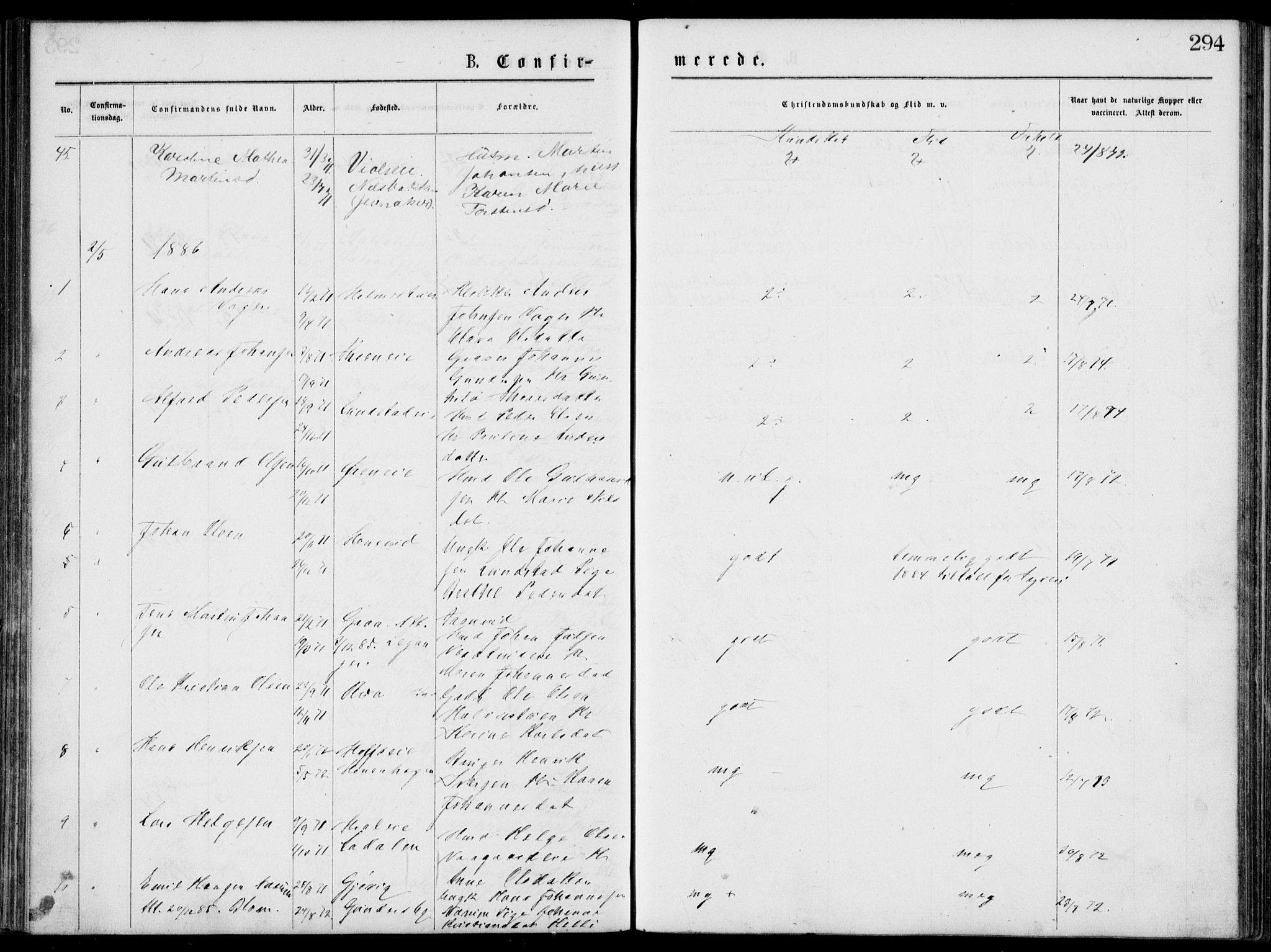 Norderhov kirkebøker, SAKO/A-237/G/Gb/L0001: Parish register (copy) no. II 1, 1876-1899, p. 294