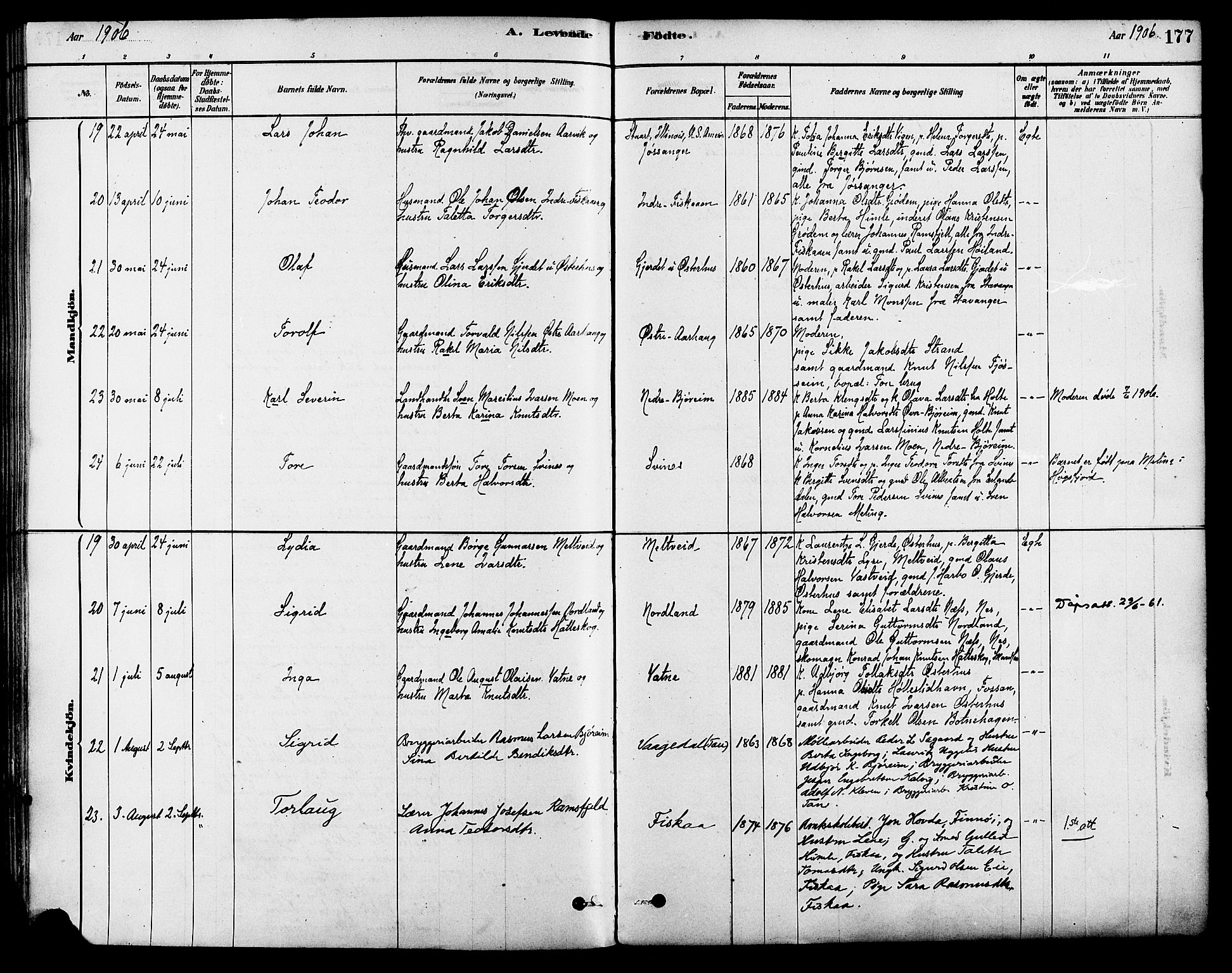 Strand sokneprestkontor, AV/SAST-A-101828/H/Ha/Haa/L0009: Parish register (official) no. A 9, 1877-1908, p. 177