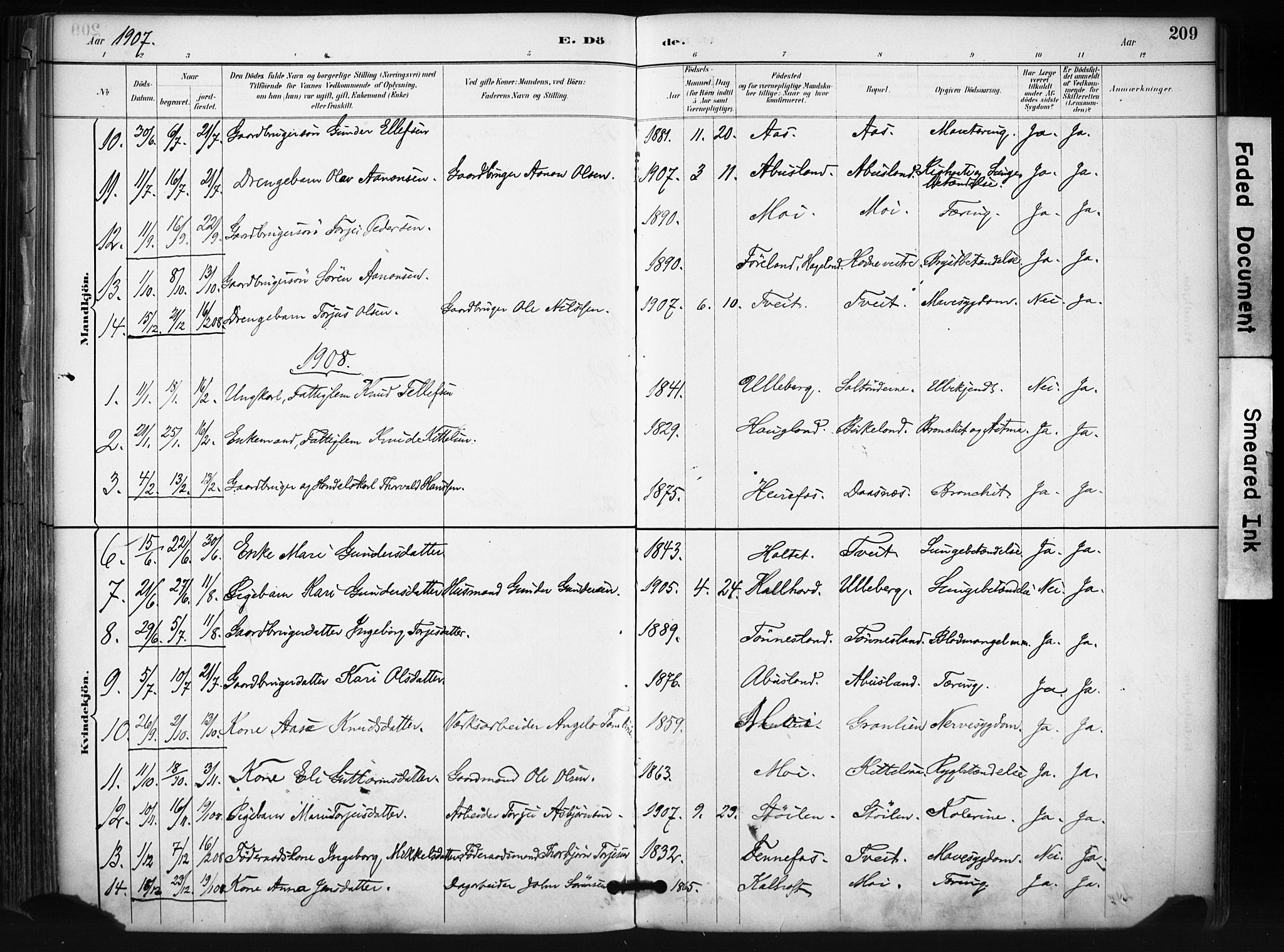 Evje sokneprestkontor, SAK/1111-0008/F/Fa/Fab/L0003: Parish register (official) no. A 3, 1884-1909, p. 209