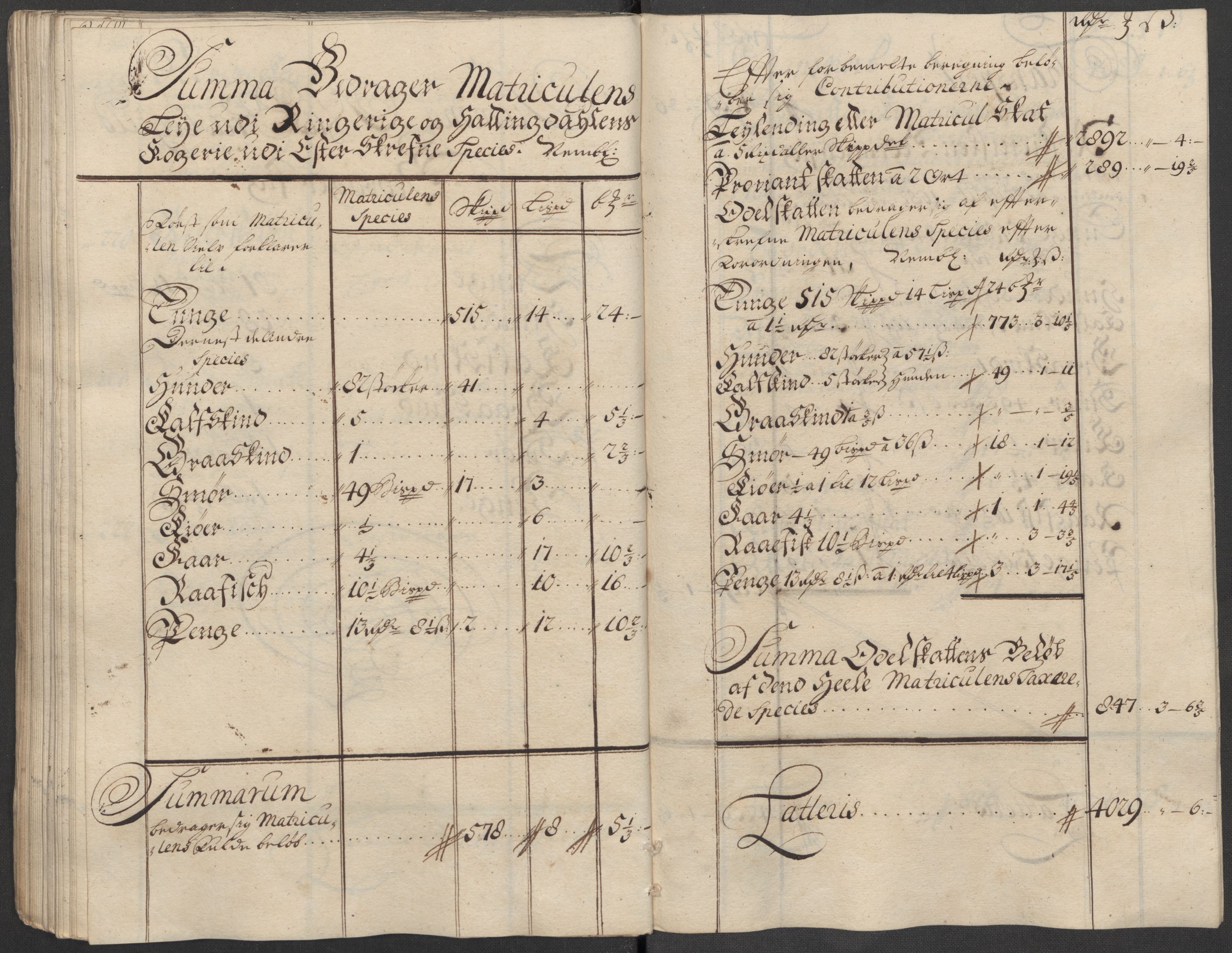 Rentekammeret inntil 1814, Reviderte regnskaper, Fogderegnskap, AV/RA-EA-4092/R23/L1475: Fogderegnskap Ringerike og Hallingdal, 1717, p. 107