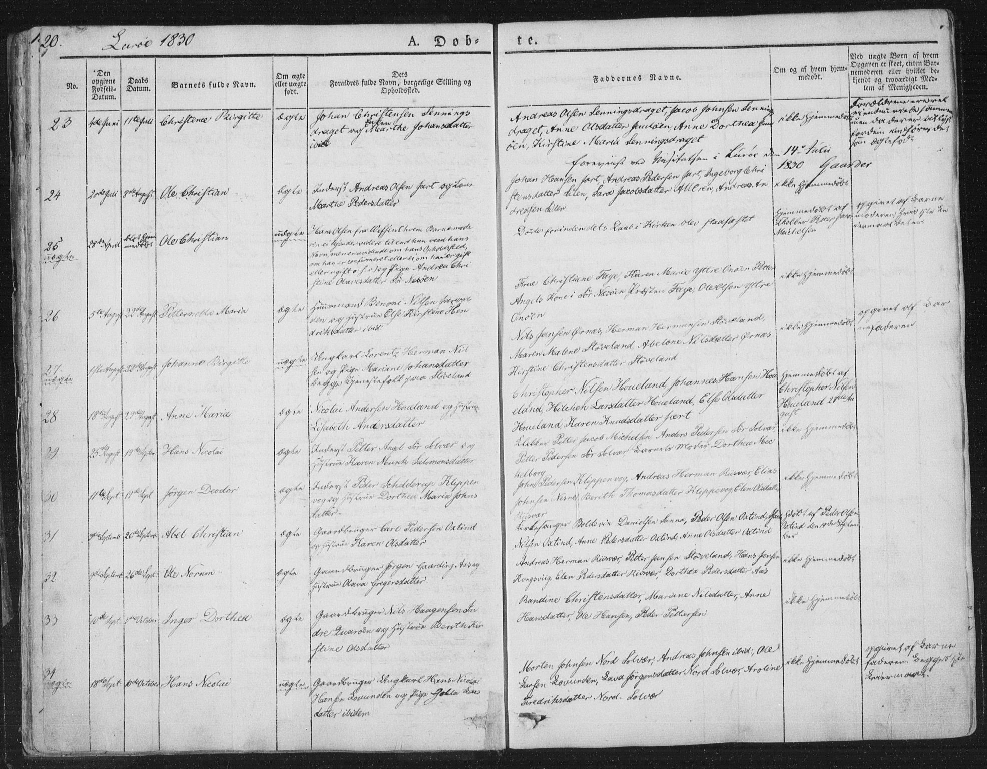 Ministerialprotokoller, klokkerbøker og fødselsregistre - Nordland, AV/SAT-A-1459/839/L0565: Parish register (official) no. 839A02, 1825-1862, p. 20