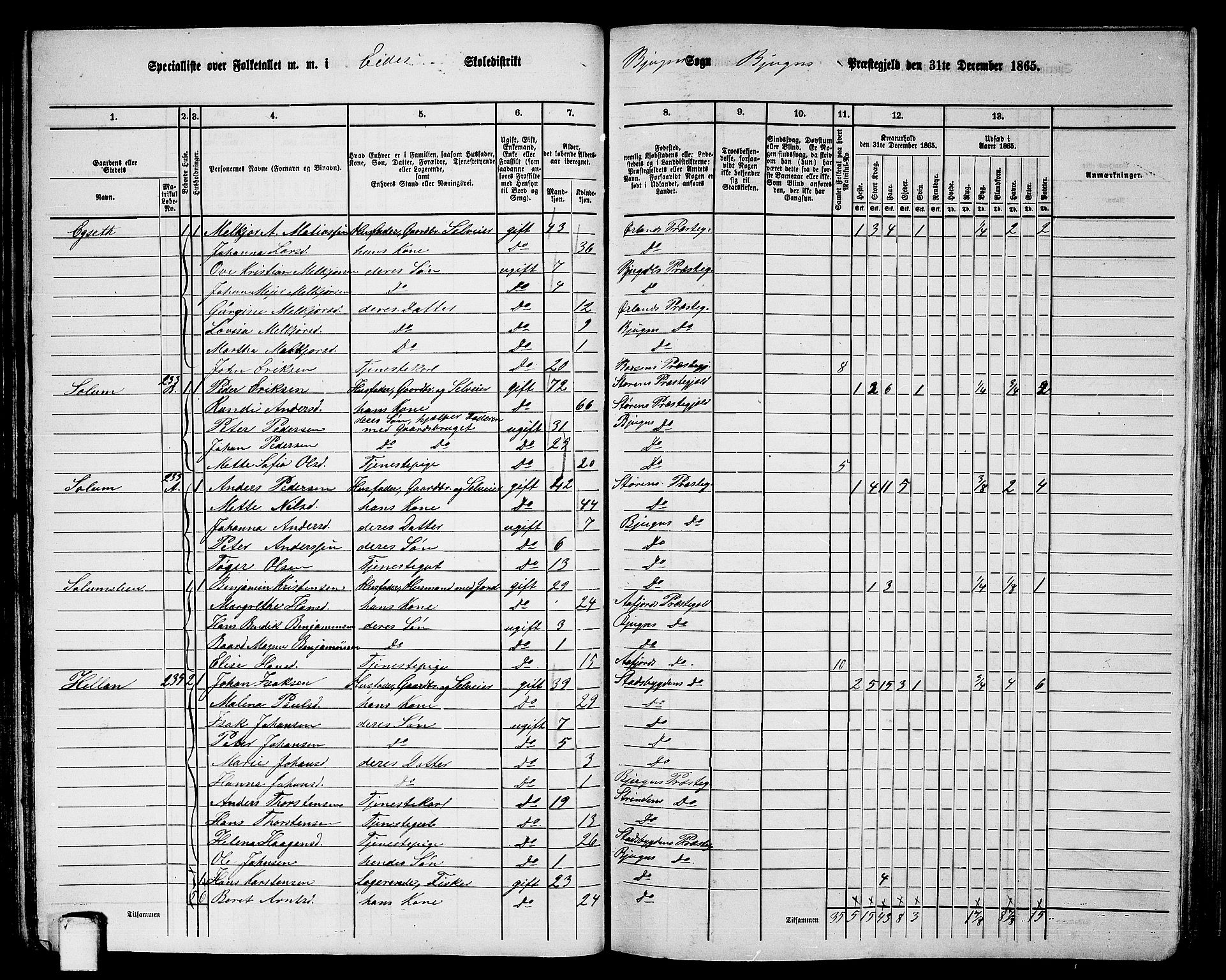 RA, 1865 census for Bjugn, 1865, p. 70