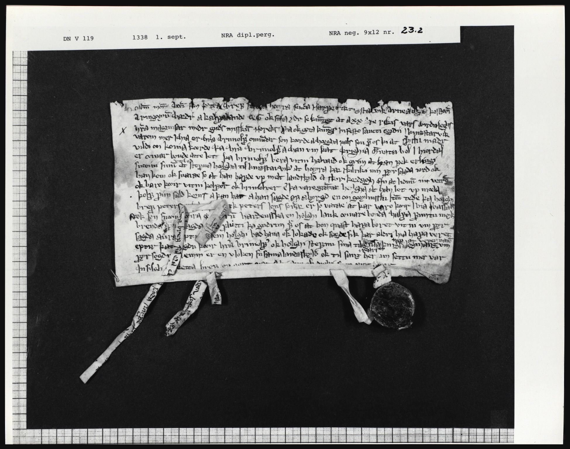 Riksarkivets diplomsamling, AV/RA-EA-5965/F01/F01a/L0045: Dokumenter, 1338, p. 20