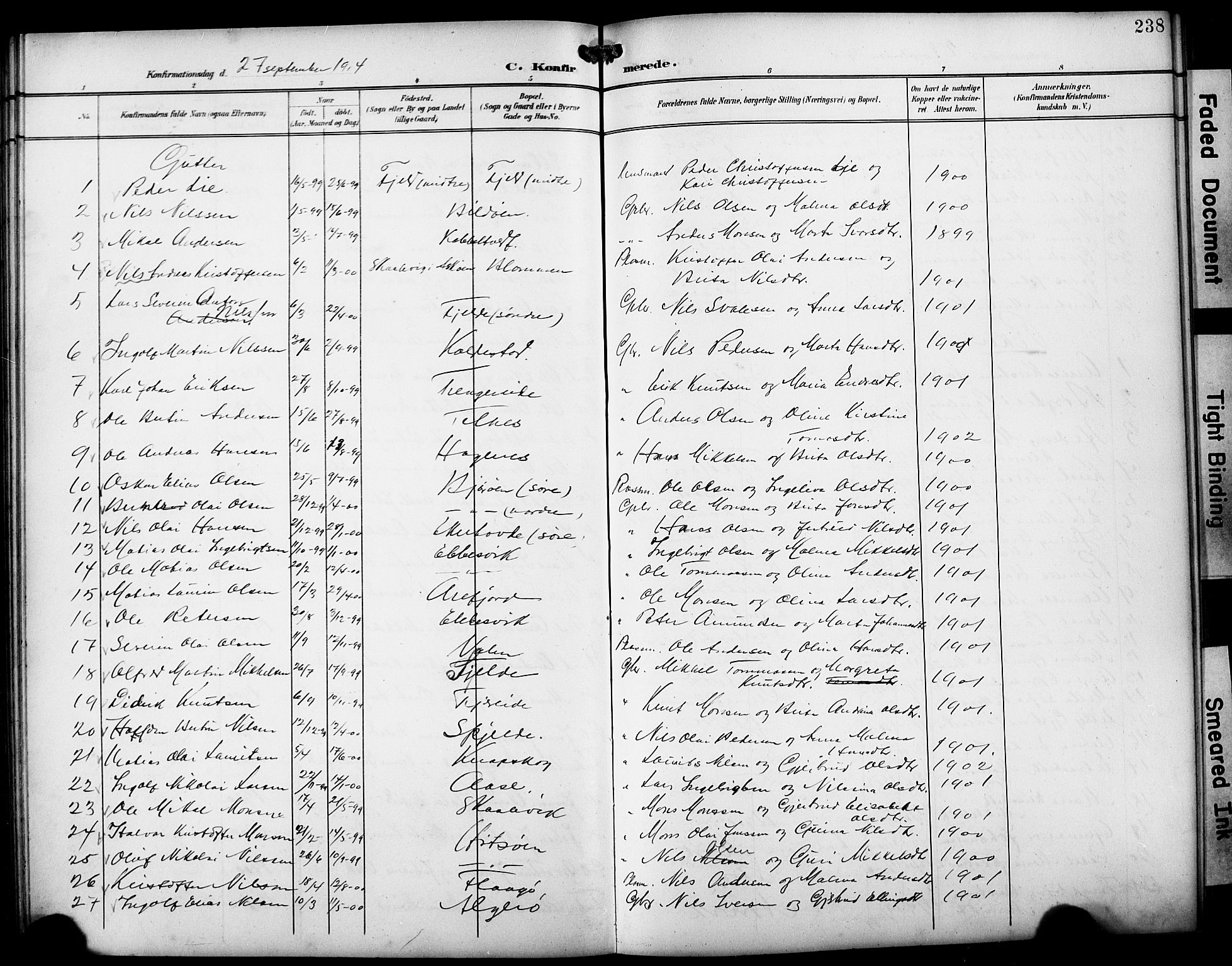 Fjell sokneprestembete, SAB/A-75301/H/Hab: Parish register (copy) no. A 5, 1899-1918, p. 238