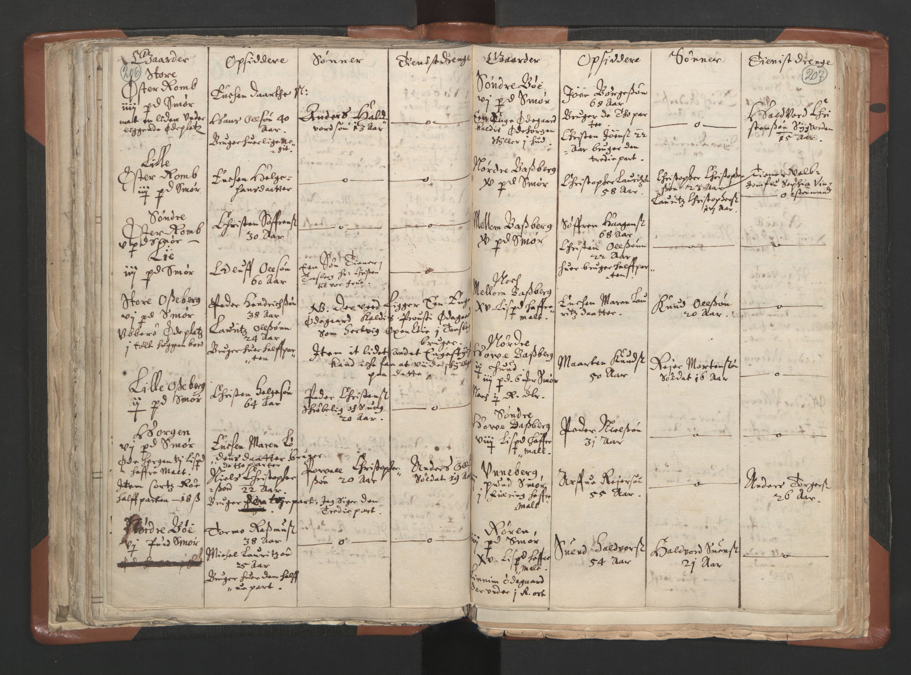 RA, Vicar's Census 1664-1666, no. 10: Tønsberg deanery, 1664-1666, p. 206-207