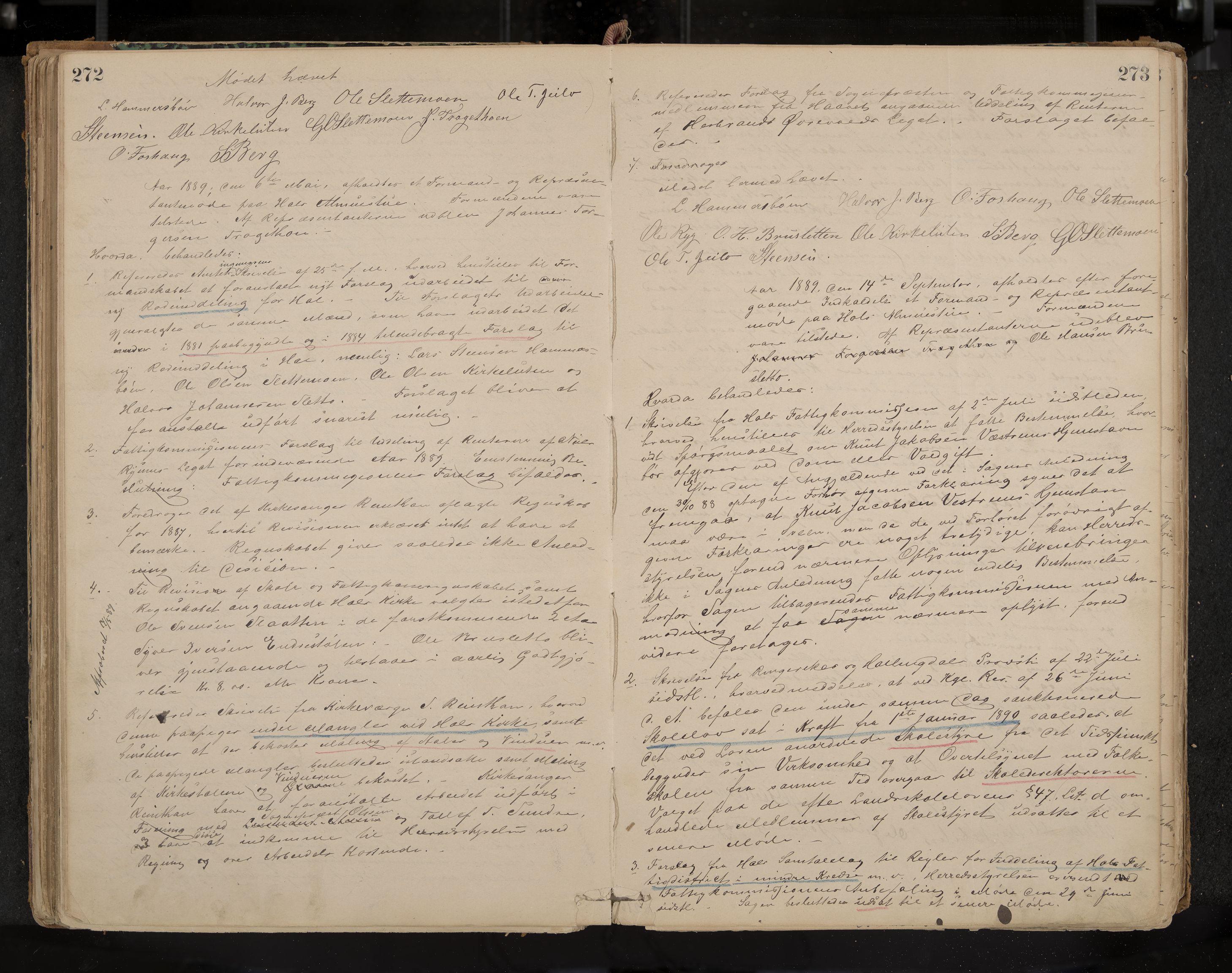 Hol formannskap og sentraladministrasjon, IKAK/0620021-1/A/L0001: Møtebok, 1877-1893, p. 272-273