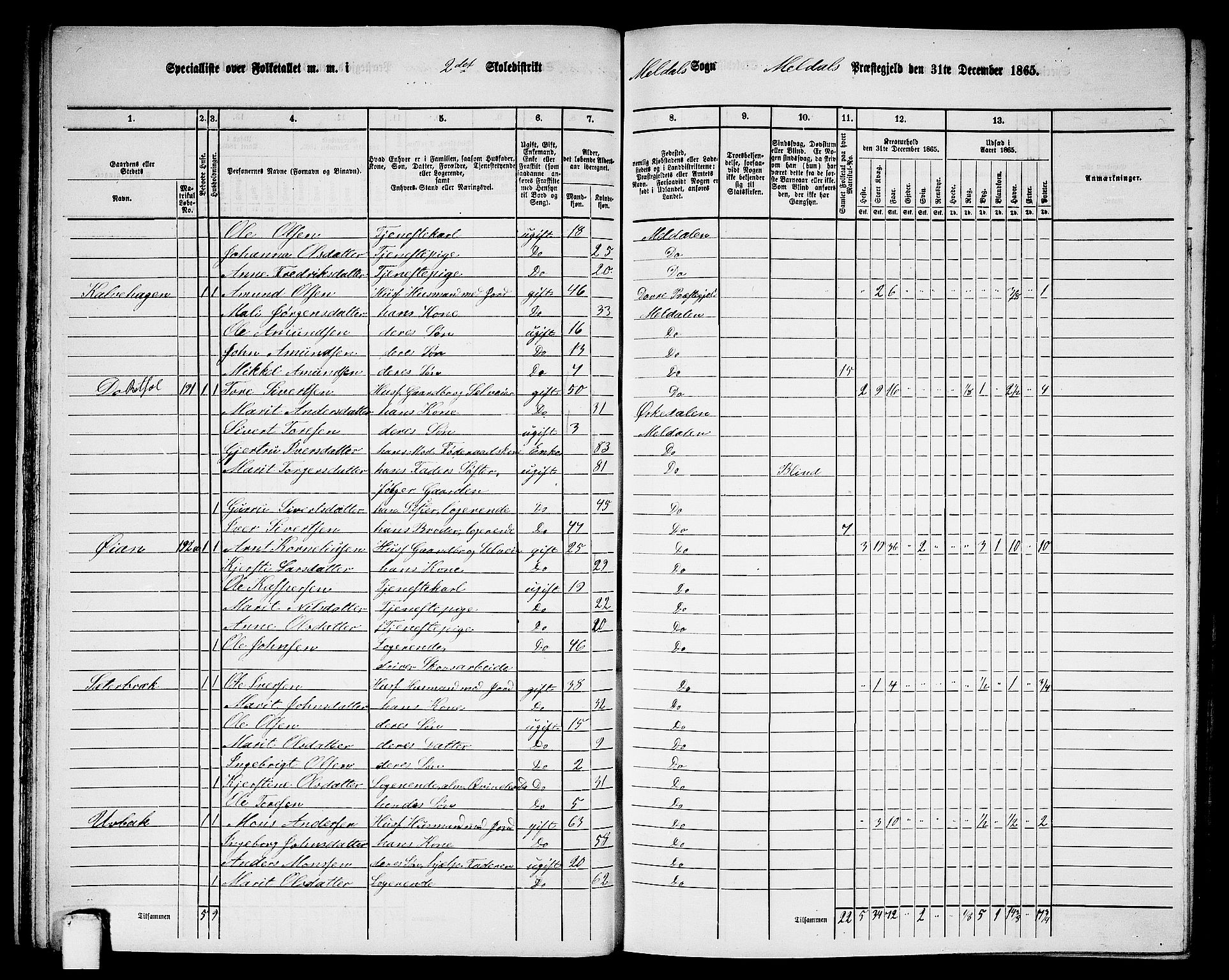 RA, 1865 census for Meldal, 1865, p. 64