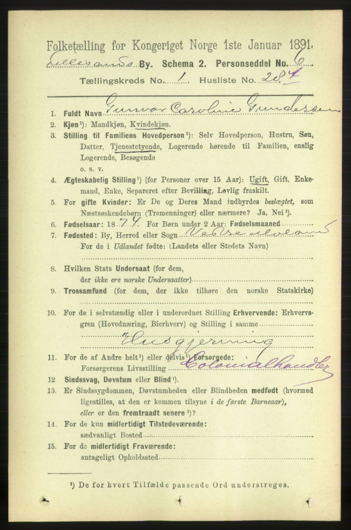 RA, 1891 census for 0905 Lillesand, 1891, p. 176