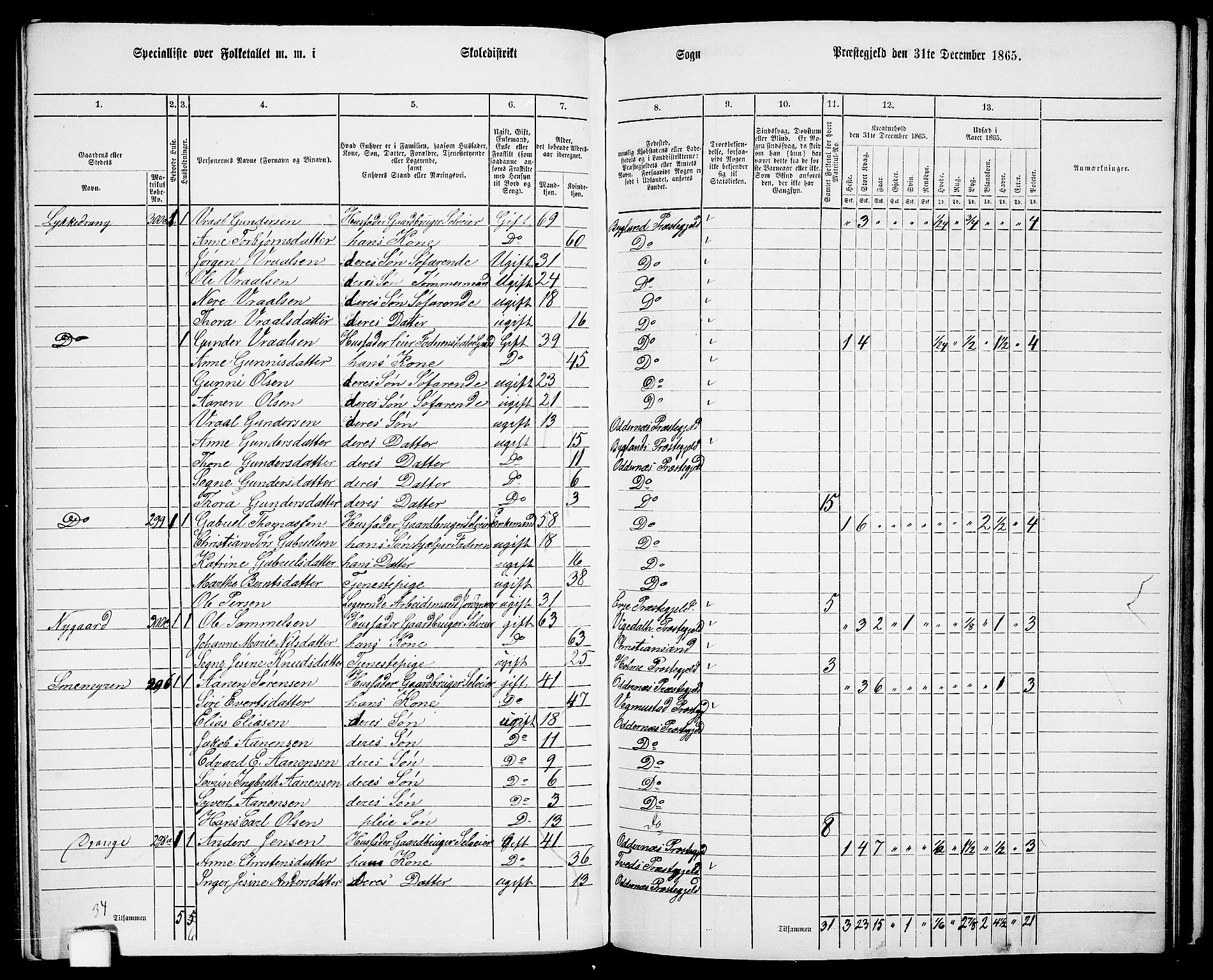 RA, 1865 census for Oddernes, 1865, p. 129