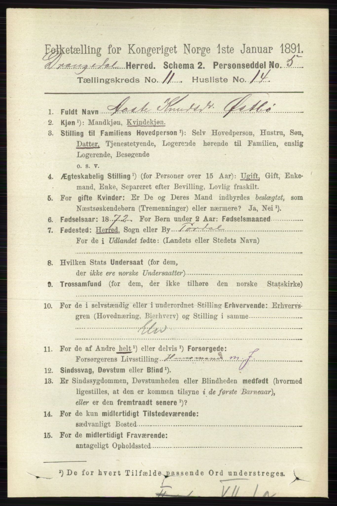 RA, 1891 census for 0817 Drangedal, 1891, p. 3987