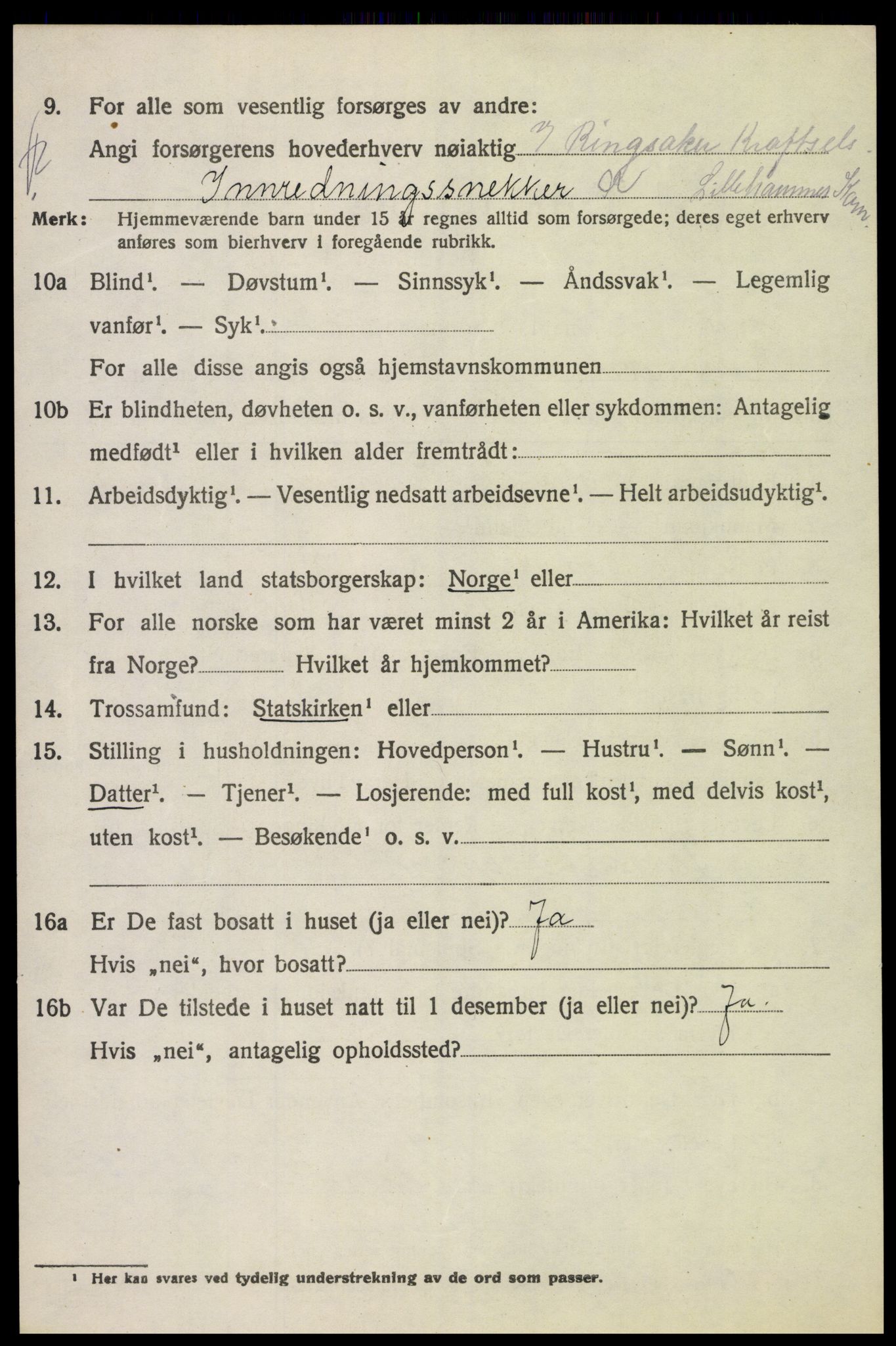 SAH, 1920 census for Ringsaker, 1920, p. 17513