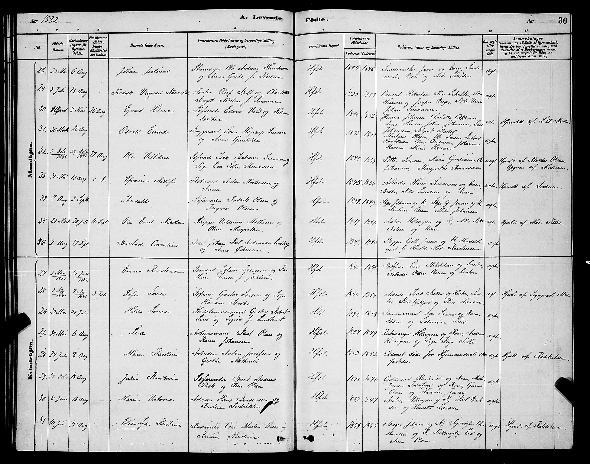 Hammerfest sokneprestkontor, AV/SATØ-S-1347/H/Hb/L0006.klokk: Parish register (copy) no. 6, 1876-1884, p. 36