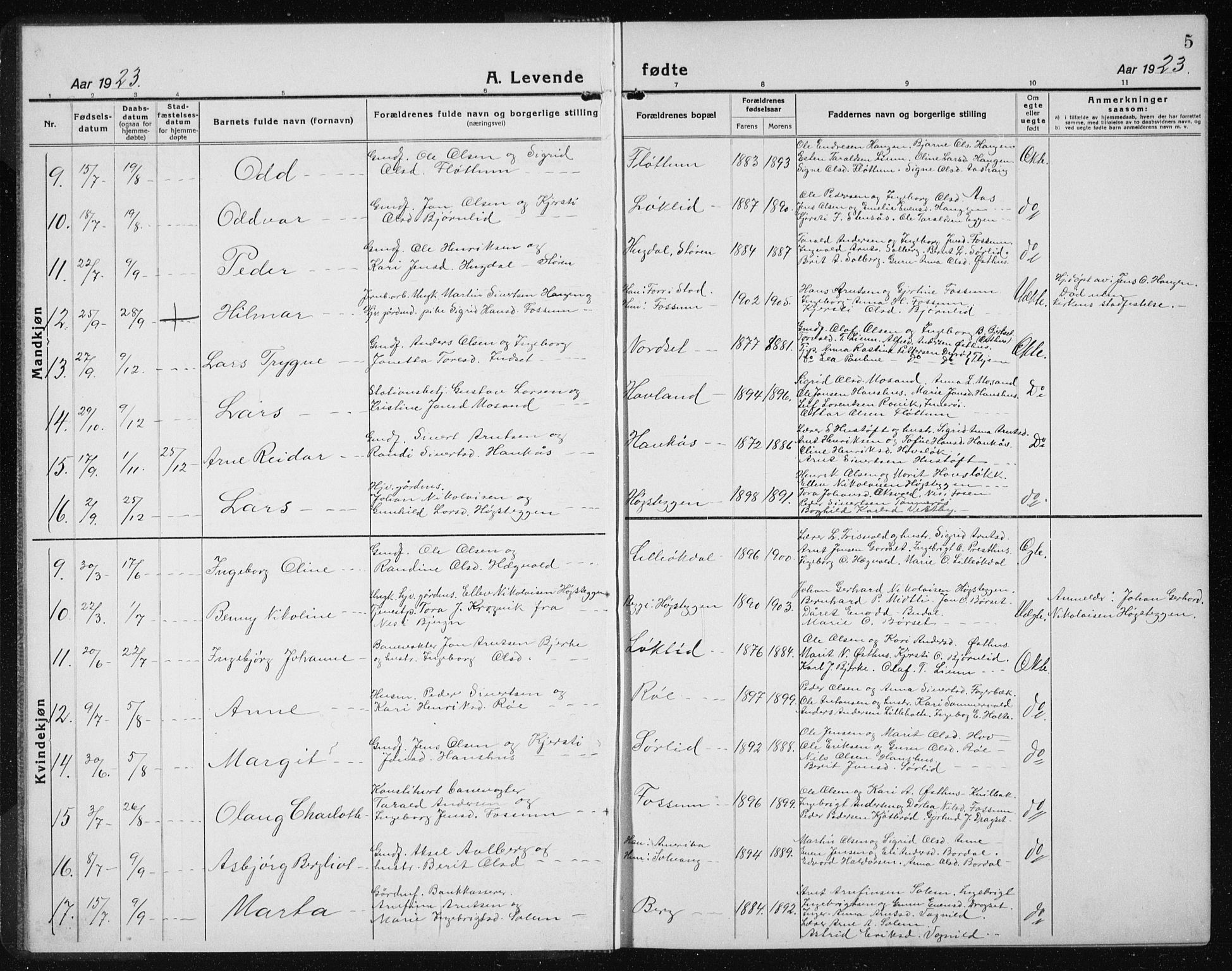 Ministerialprotokoller, klokkerbøker og fødselsregistre - Sør-Trøndelag, SAT/A-1456/689/L1045: Parish register (copy) no. 689C04, 1923-1940, p. 5