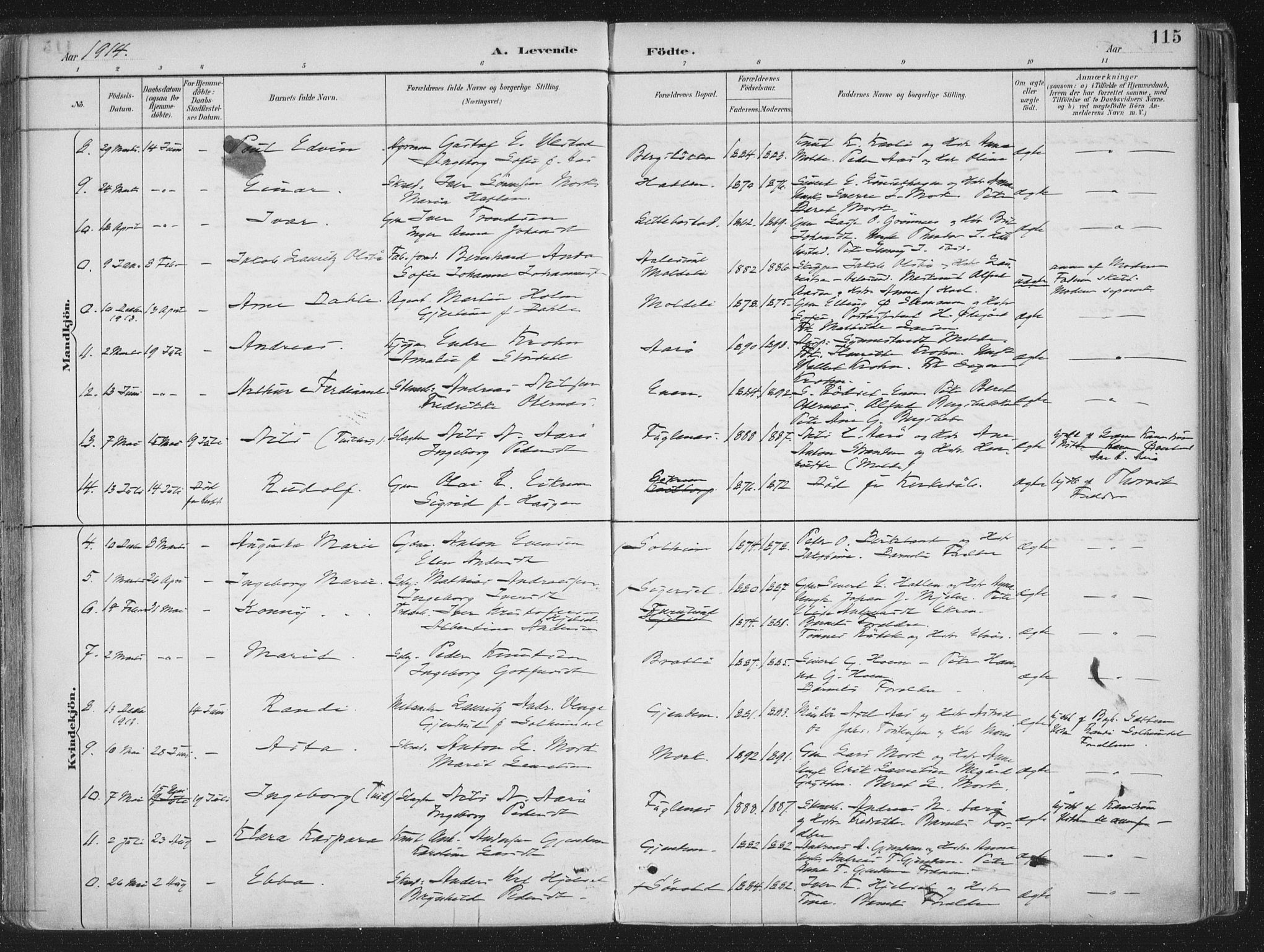 Ministerialprotokoller, klokkerbøker og fødselsregistre - Møre og Romsdal, AV/SAT-A-1454/555/L0658: Parish register (official) no. 555A09, 1887-1917, p. 115