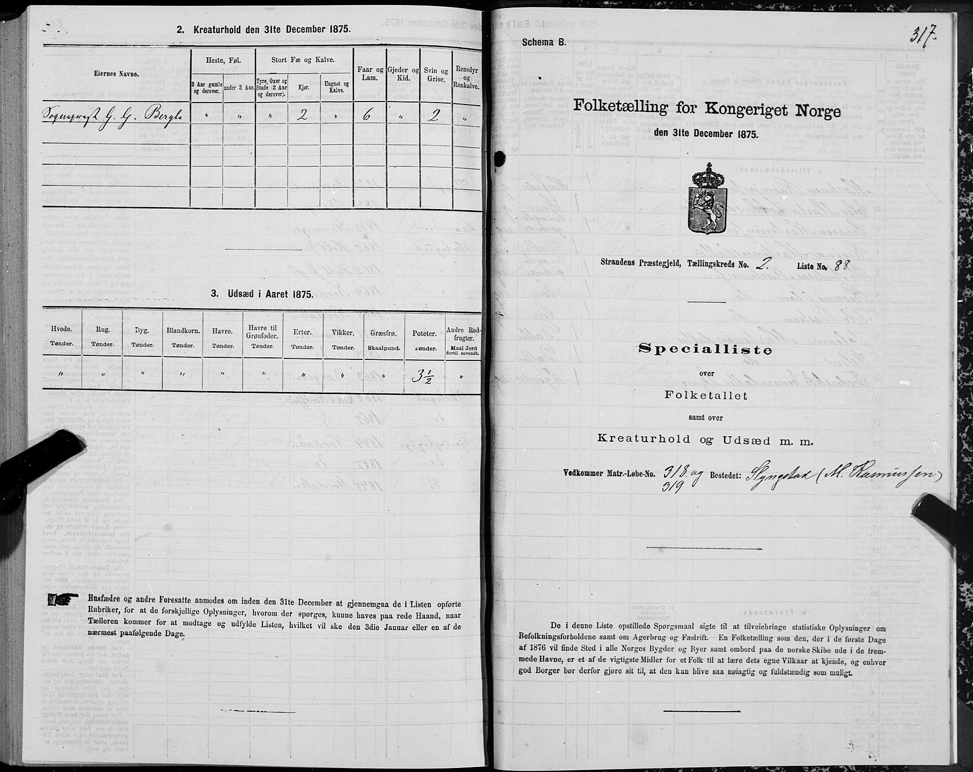 SAT, 1875 census for 1525P Stranda, 1875, p. 1317