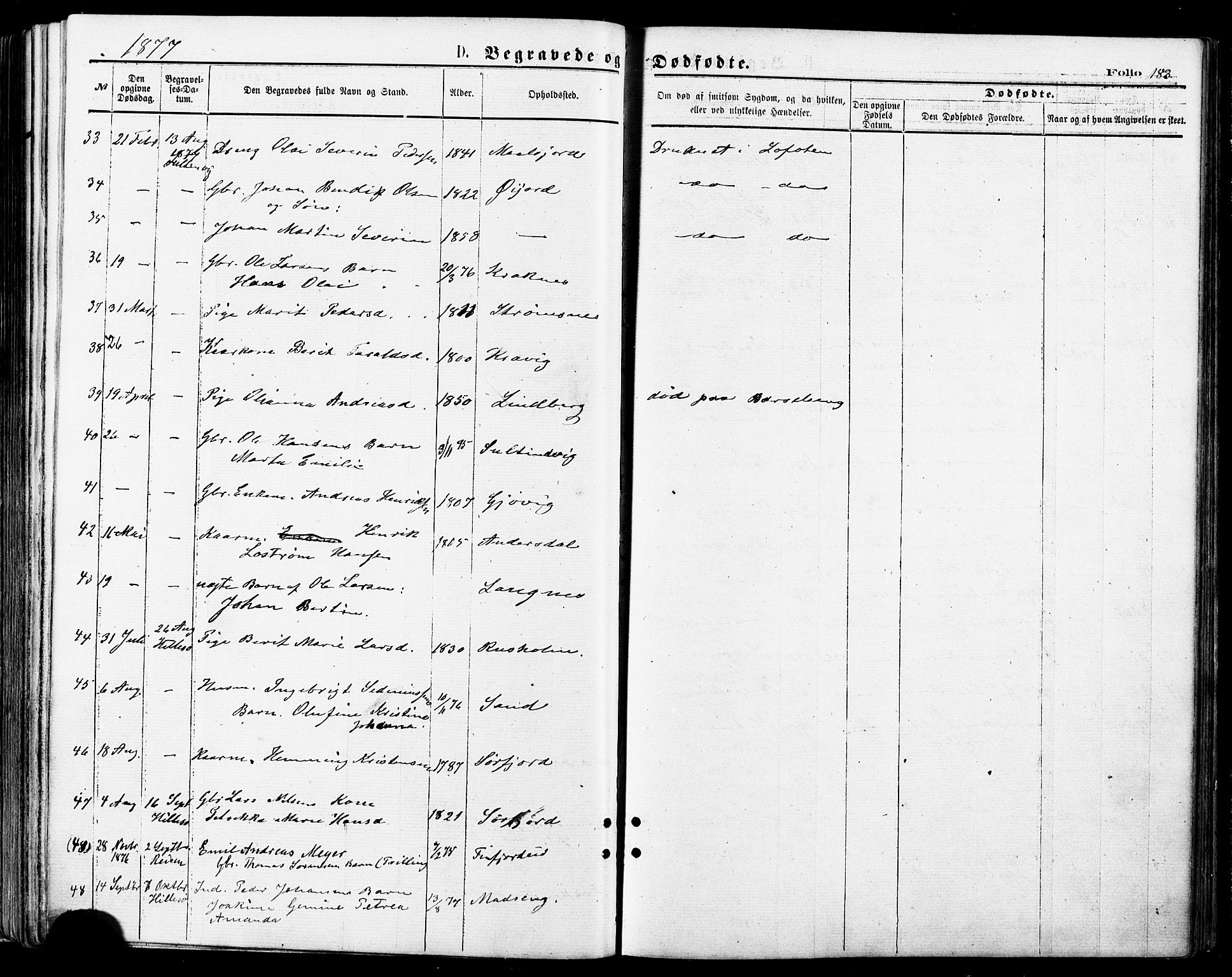 Lenvik sokneprestembete, SATØ/S-1310/H/Ha/Haa/L0010kirke: Parish register (official) no. 10, 1873-1880, p. 183