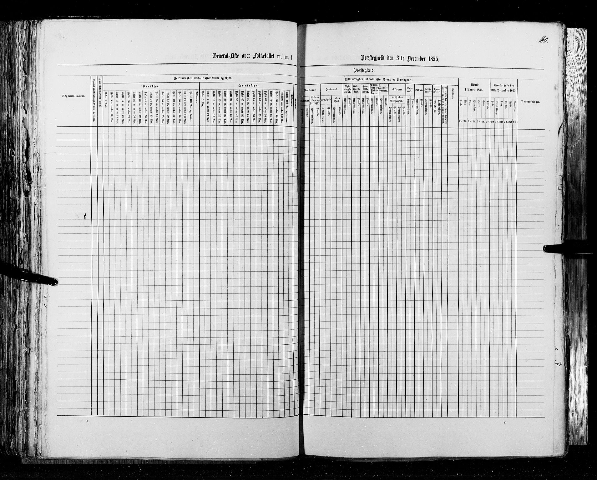 RA, Census 1855, vol. 4: Stavanger amt og Søndre Bergenhus amt, 1855, p. 160