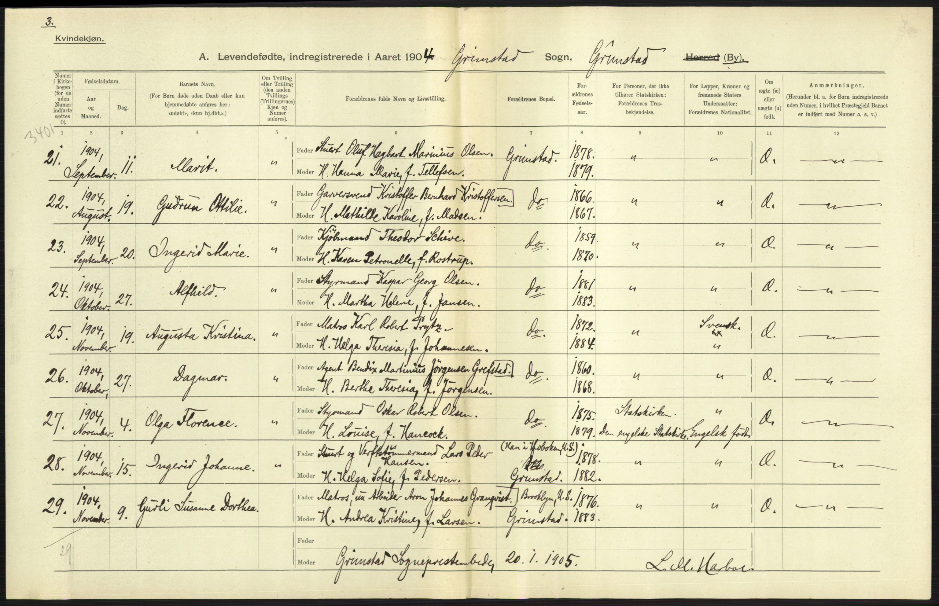 Statistisk sentralbyrå, Sosiodemografiske emner, Befolkning, AV/RA-S-2228/D/Df/Dfa/Dfab/L0010: Nedenes amt: Fødte, gifte, døde, 1904, p. 251