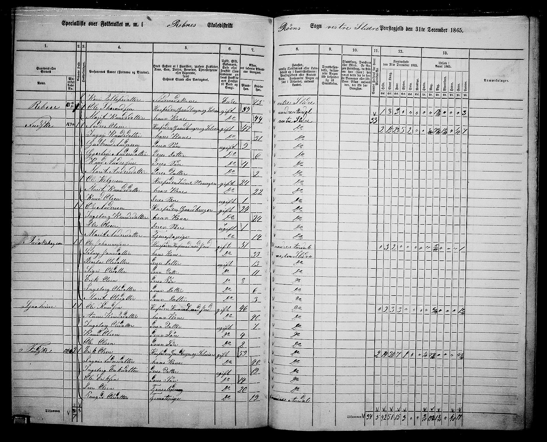 RA, 1865 census for Vestre Slidre, 1865, p. 131