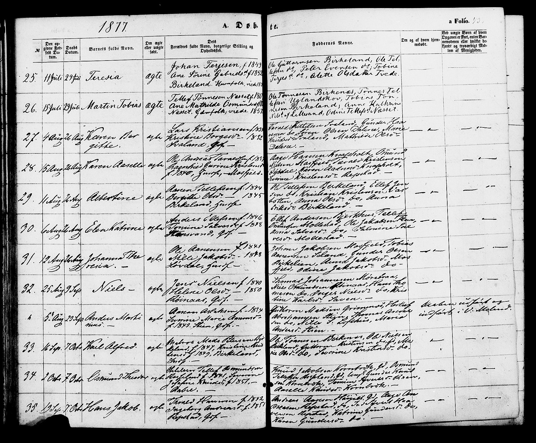 Birkenes sokneprestkontor, SAK/1111-0004/F/Fa/L0004: Parish register (official) no. A 4, 1867-1886, p. 43