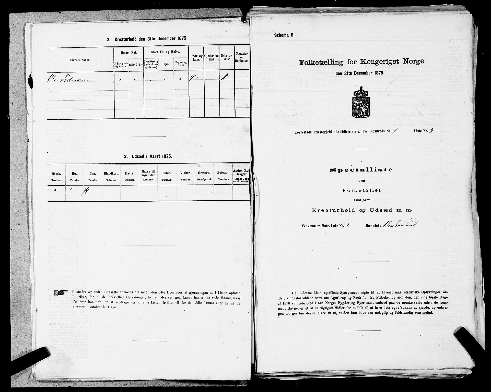 SAST, 1875 census for 1152L Torvastad/Torvastad, Skåre og Utsira, 1875, p. 65