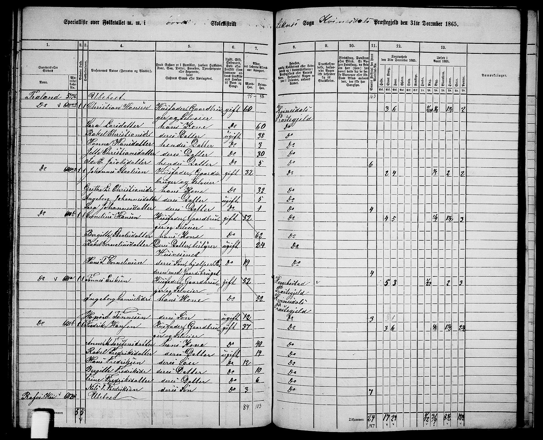 RA, 1865 census for Kvinesdal, 1865, p. 166