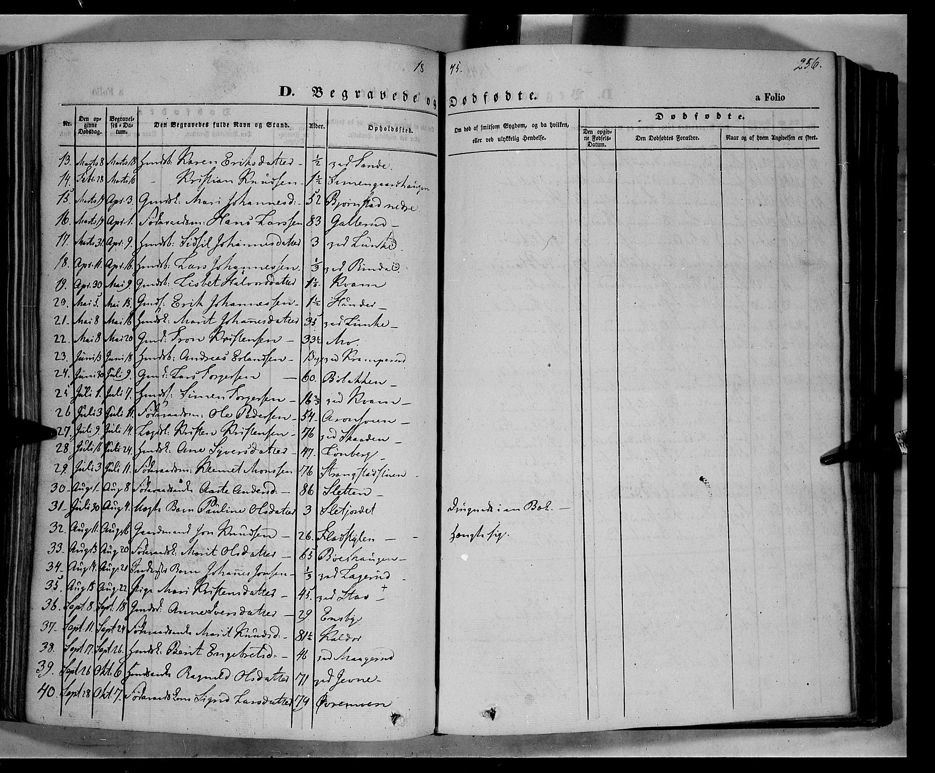 Øyer prestekontor, SAH/PREST-084/H/Ha/Haa/L0005: Parish register (official) no. 5, 1842-1857, p. 256