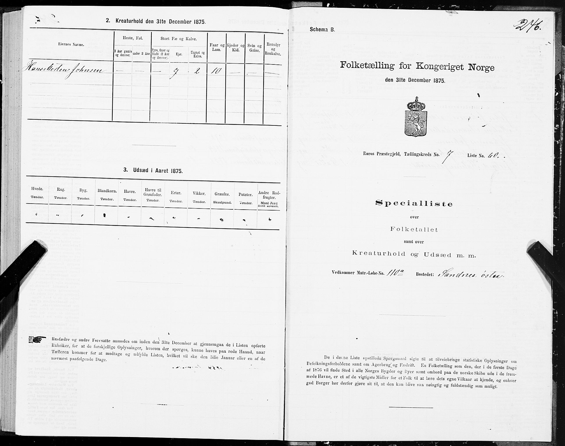 SAT, 1875 census for 1640P Røros, 1875, p. 4246