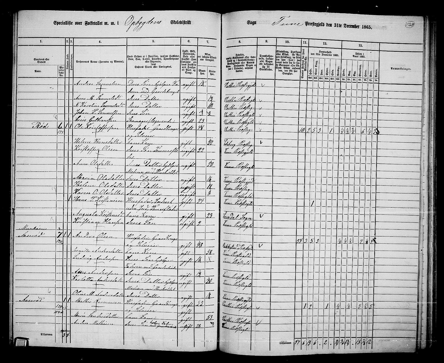 RA, 1865 census for Tune, 1865, p. 206