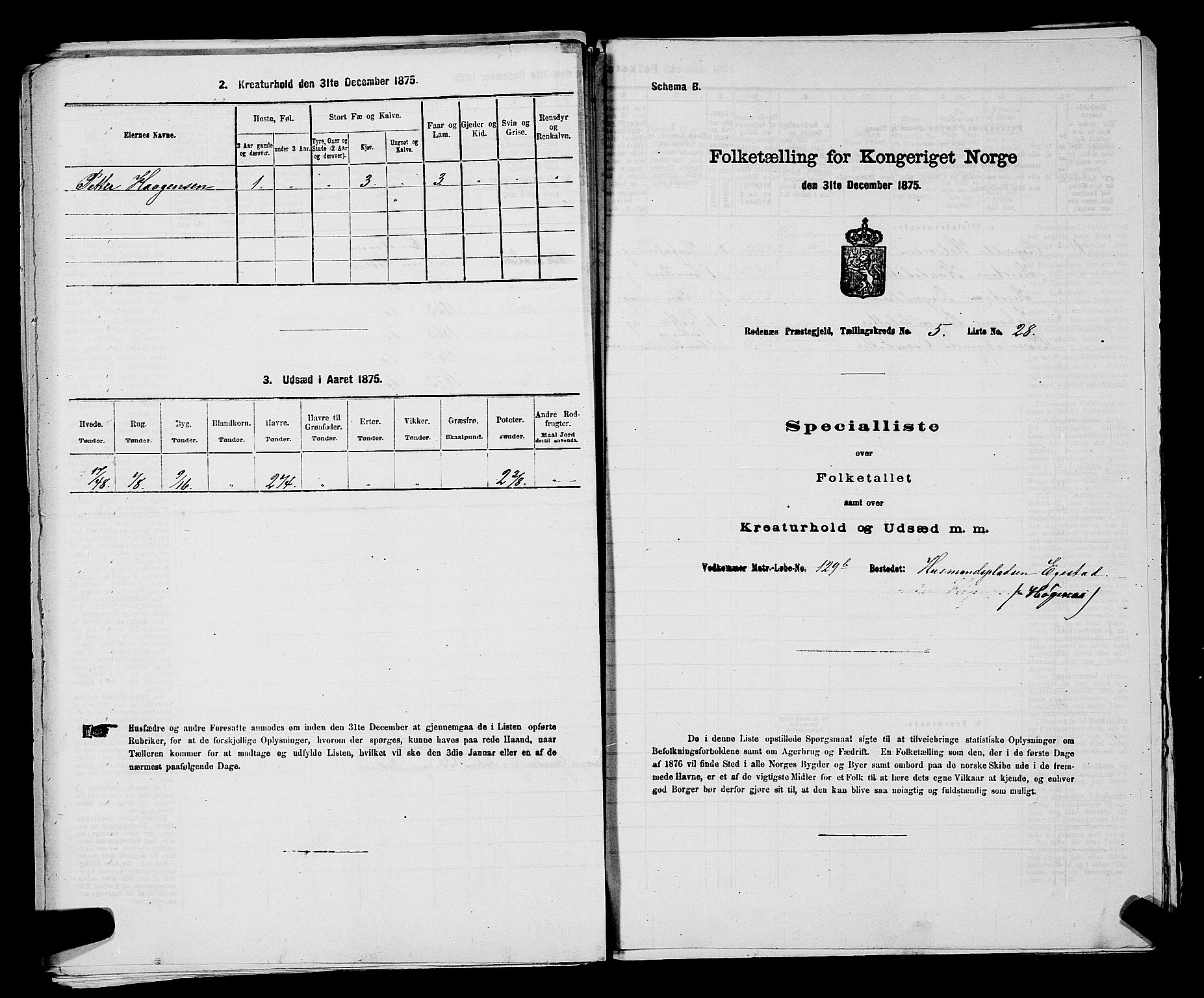 RA, 1875 census for 0120P Rødenes, 1875, p. 763