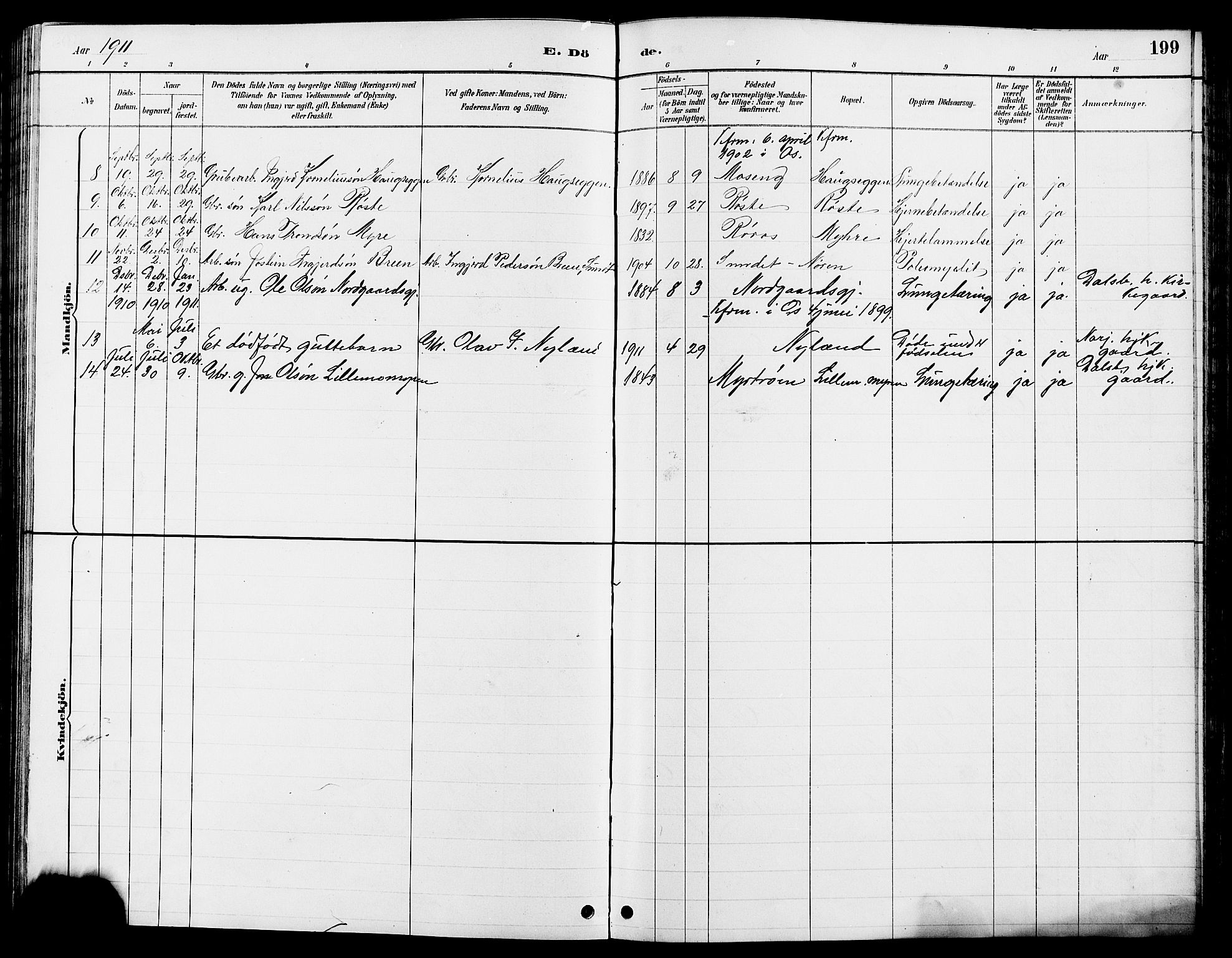 Tolga prestekontor, AV/SAH-PREST-062/L/L0008: Parish register (copy) no. 8, 1887-1912, p. 199