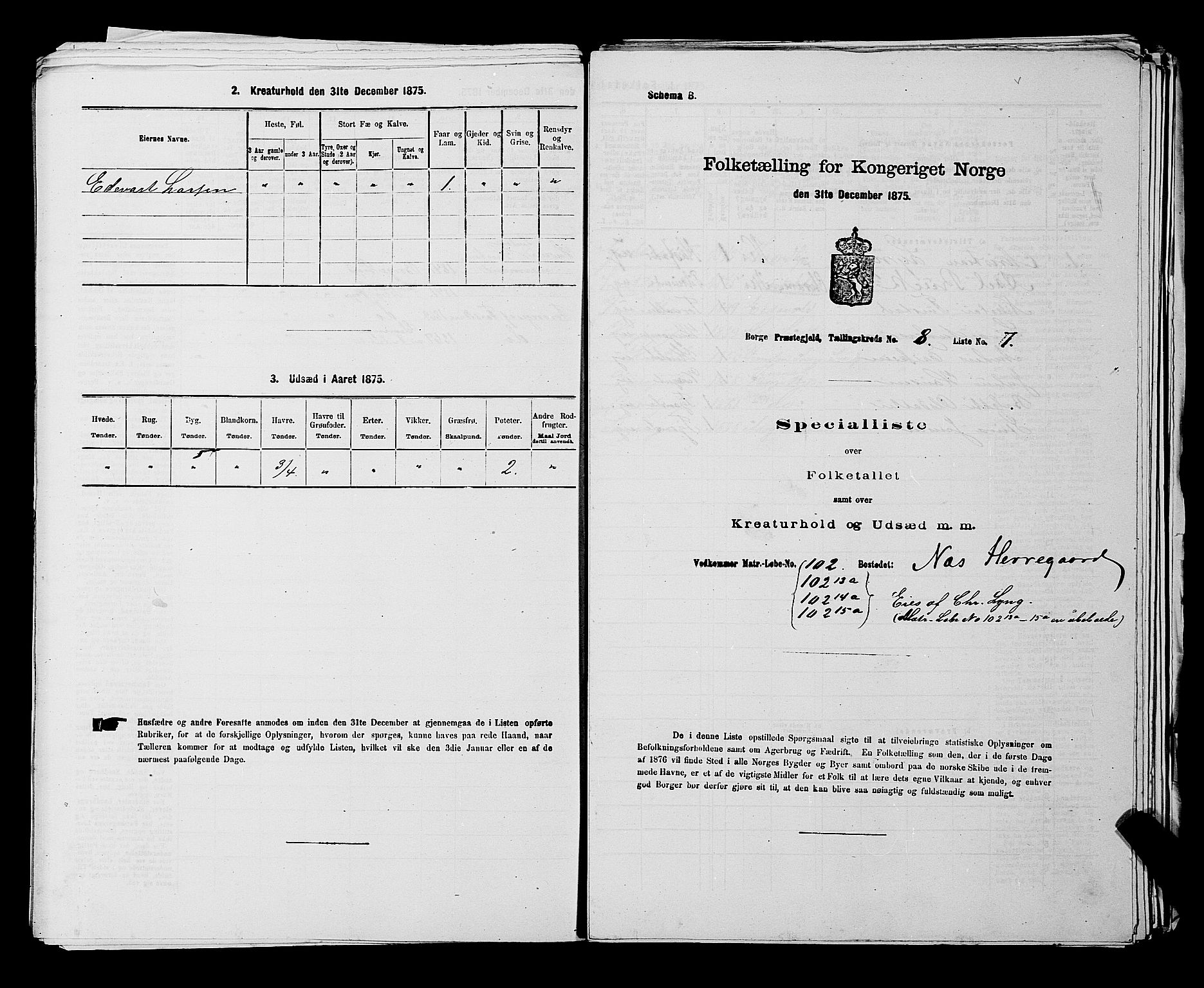 RA, 1875 census for 0113P Borge, 1875, p. 1116