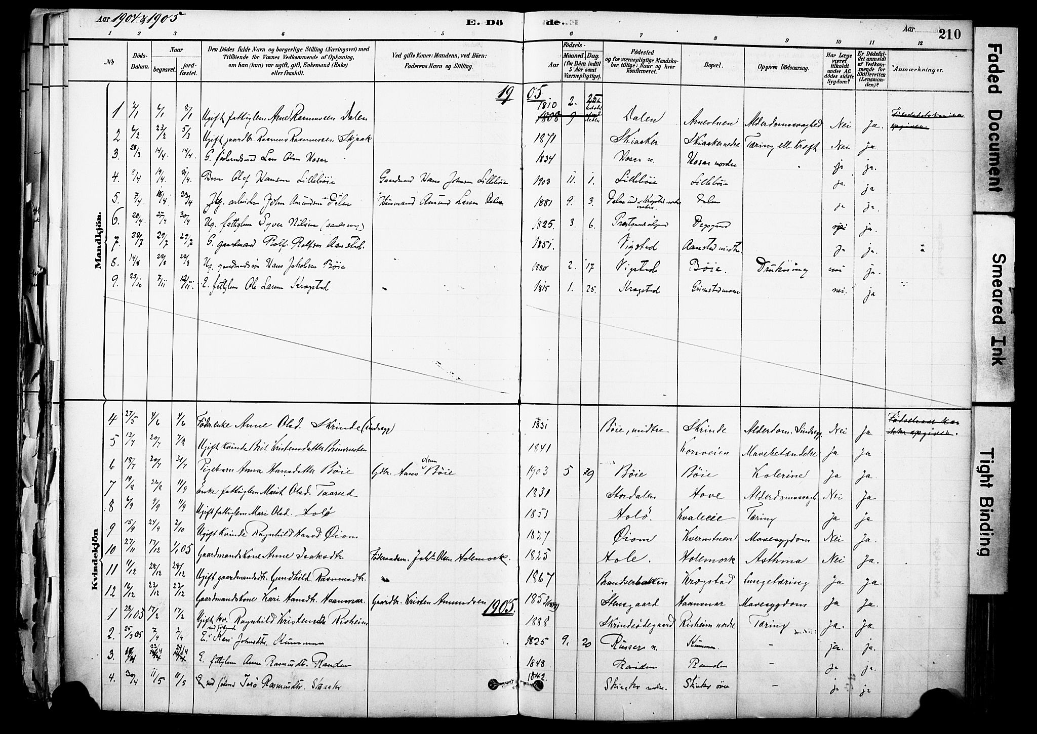 Skjåk prestekontor, SAH/PREST-072/H/Ha/Haa/L0003: Parish register (official) no. 3, 1880-1907, p. 210