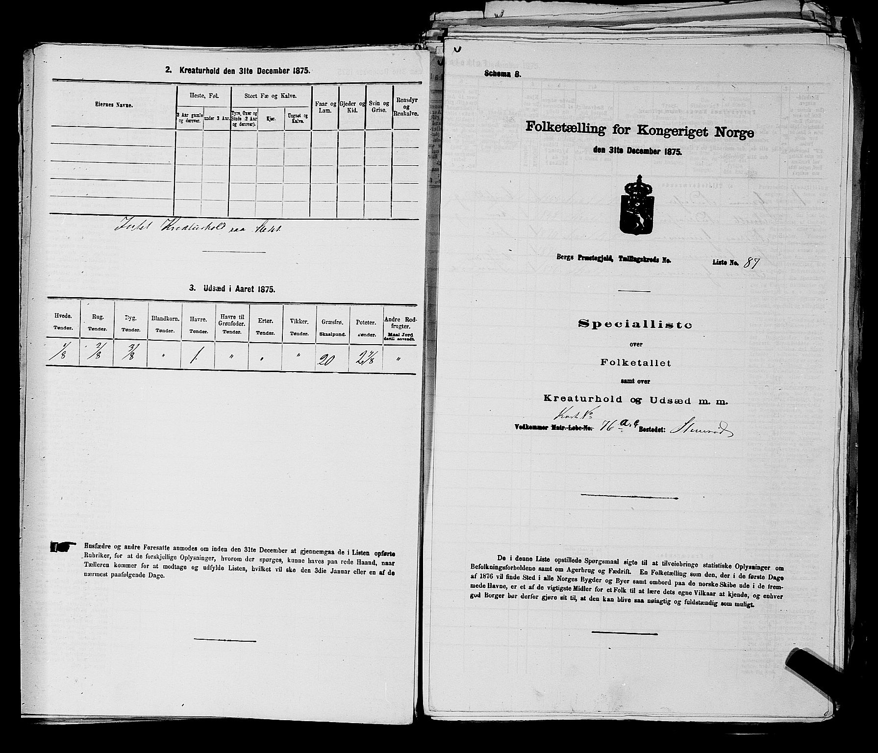 RA, 1875 census for 0116P Berg, 1875, p. 494