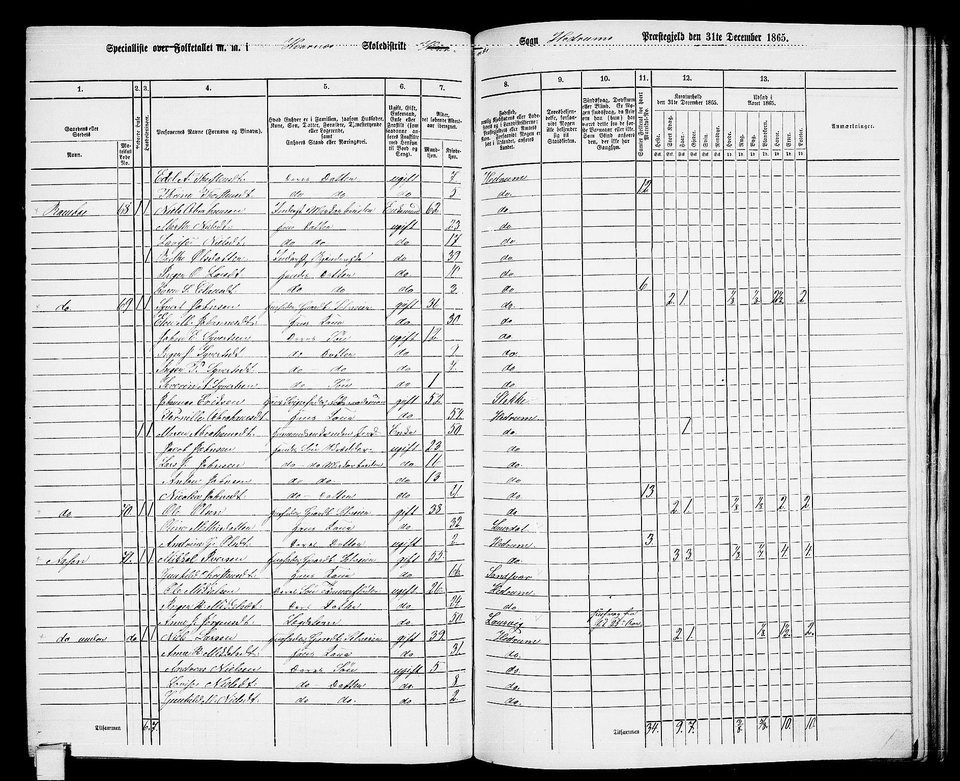 RA, 1865 census for Hedrum, 1865, p. 155