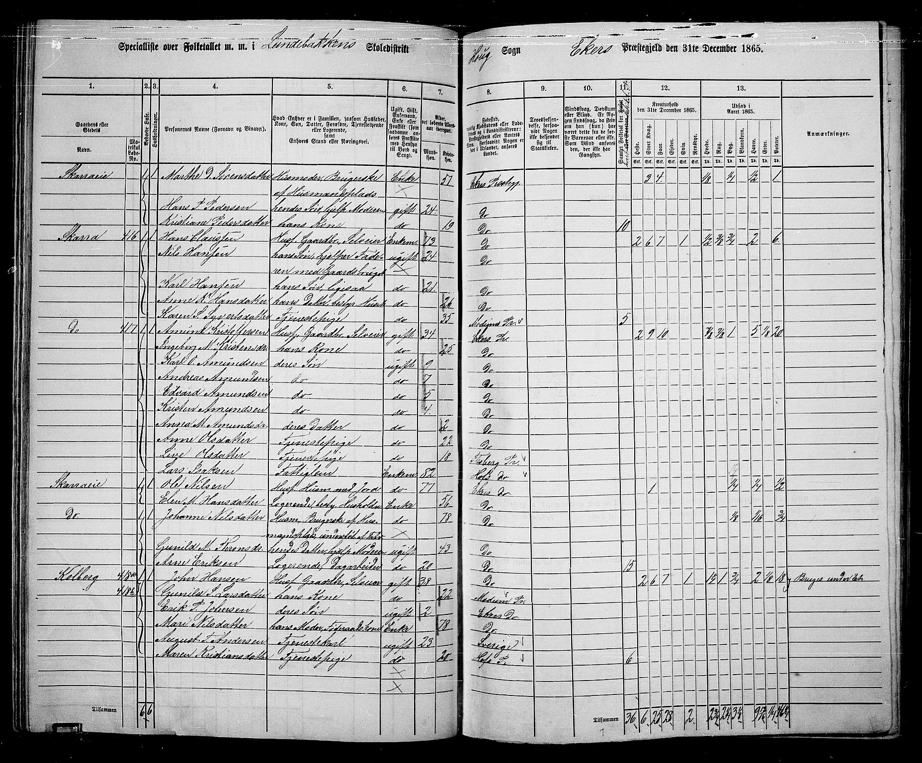 RA, 1865 census for Eiker, 1865, p. 95