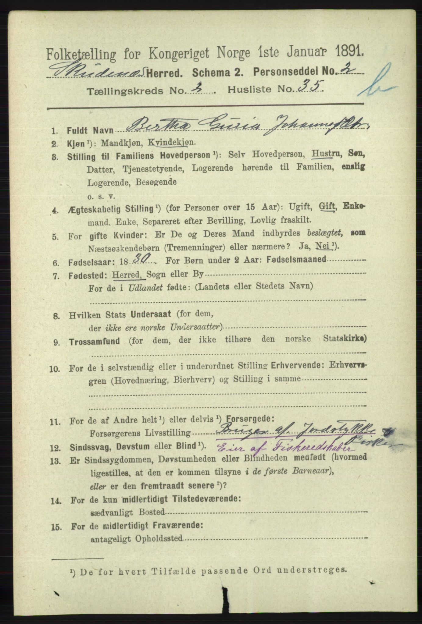 RA, 1891 census for 1150 Skudenes, 1891, p. 3905