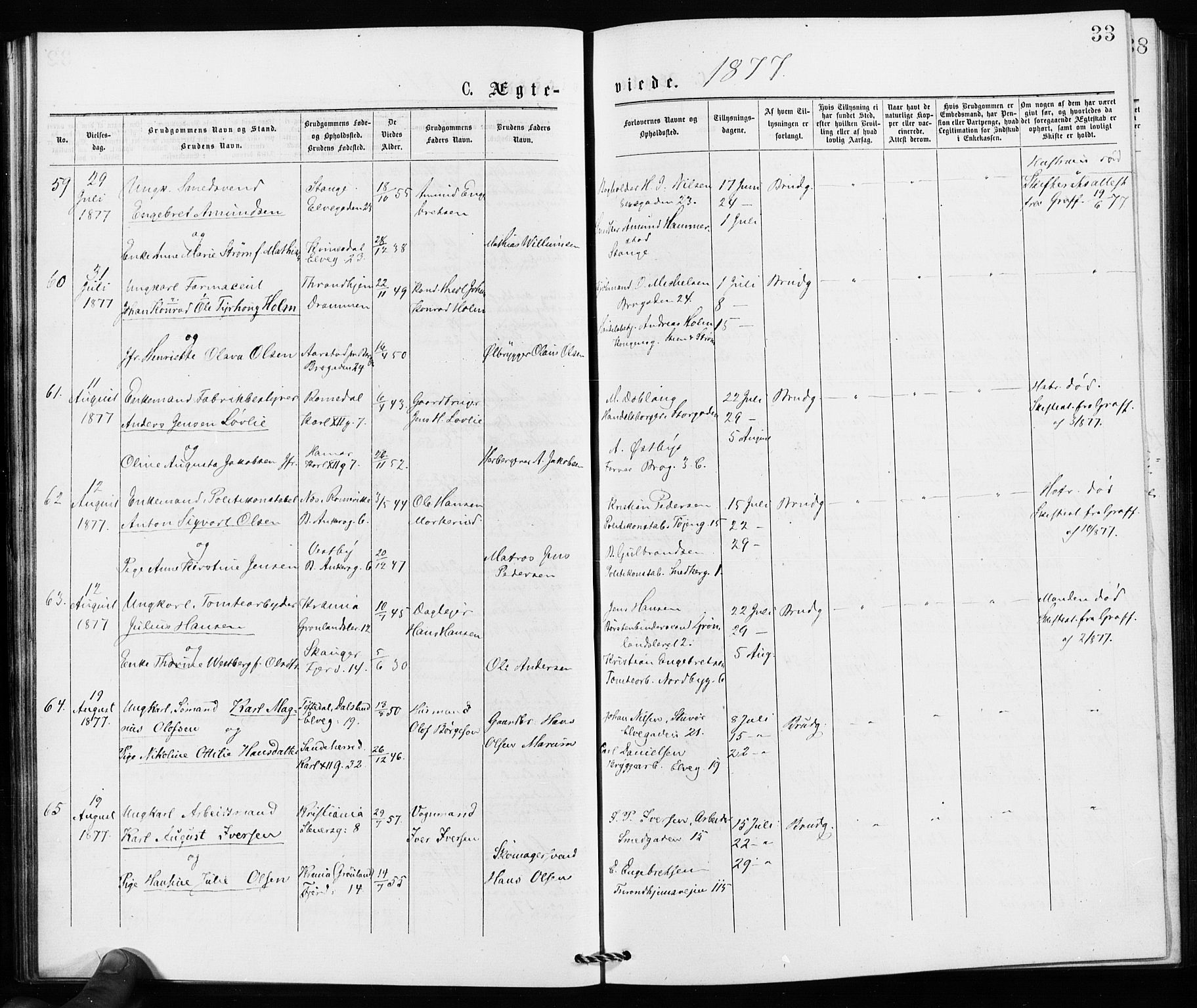 Jakob prestekontor Kirkebøker, SAO/A-10850/F/Fa/L0002: Parish register (official) no. 2, 1875-1879, p. 33